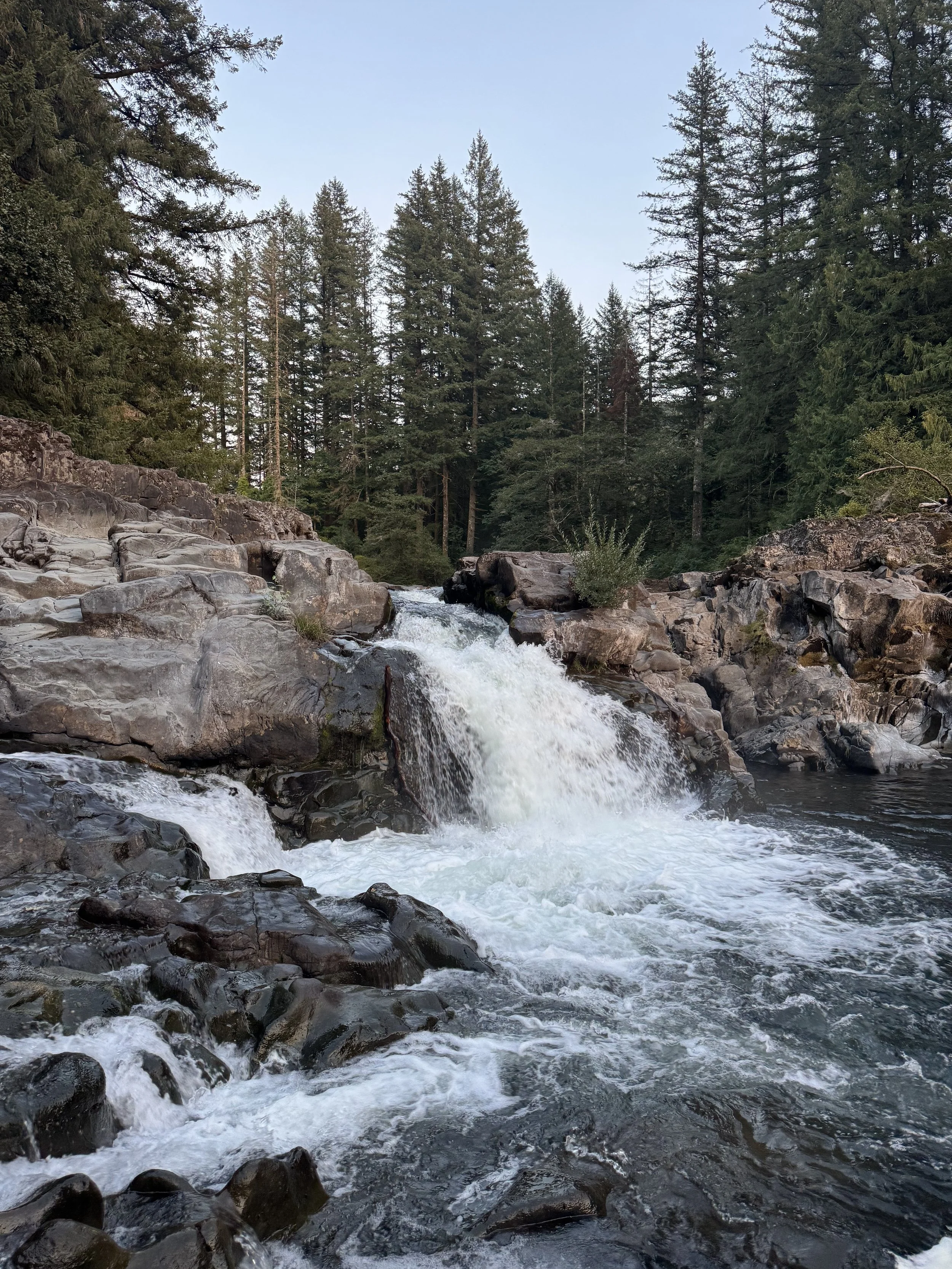 Yacolt, Washington 