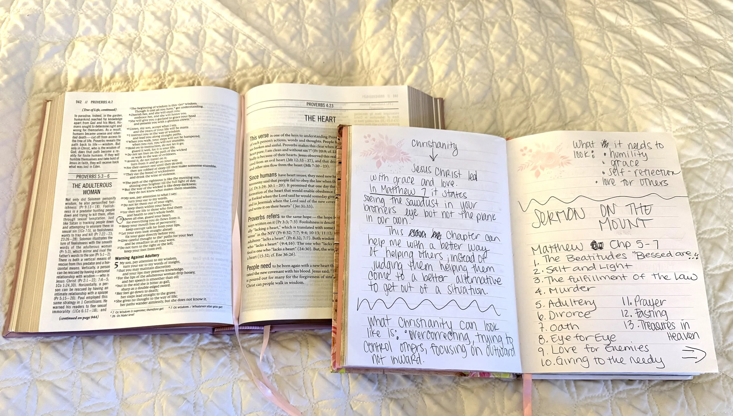What I’ve Learned So Far By ACTUALLY Reading My Bible…..