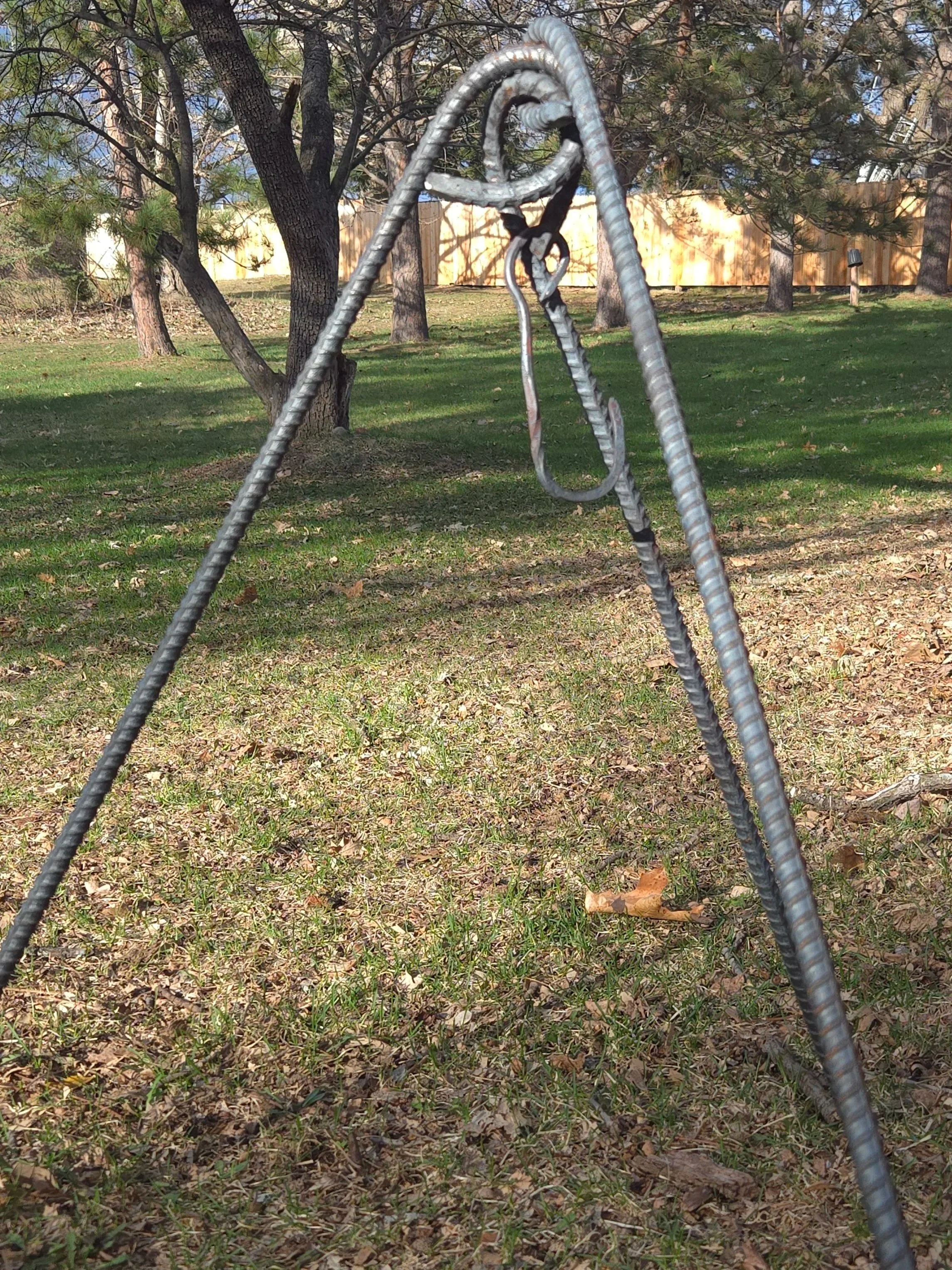 8876.jpg