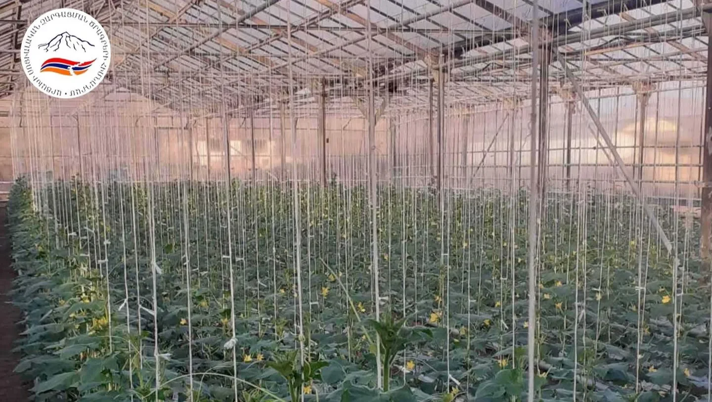 greenhouseasdpf.webp