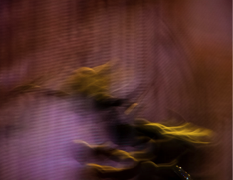 unnamed.png