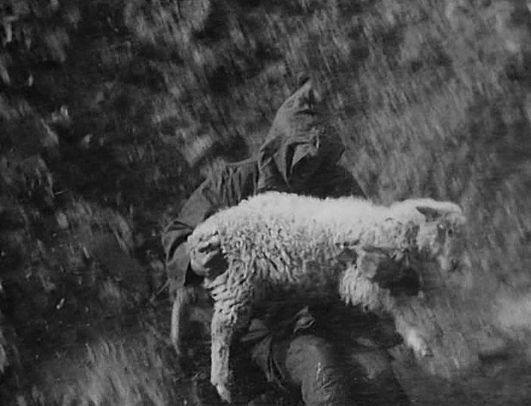 100 Years of Armenian Cinema