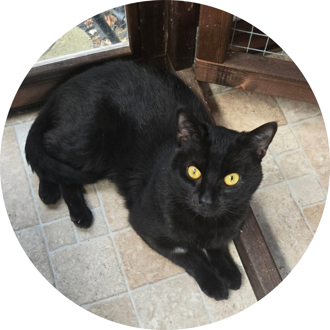 Binx
