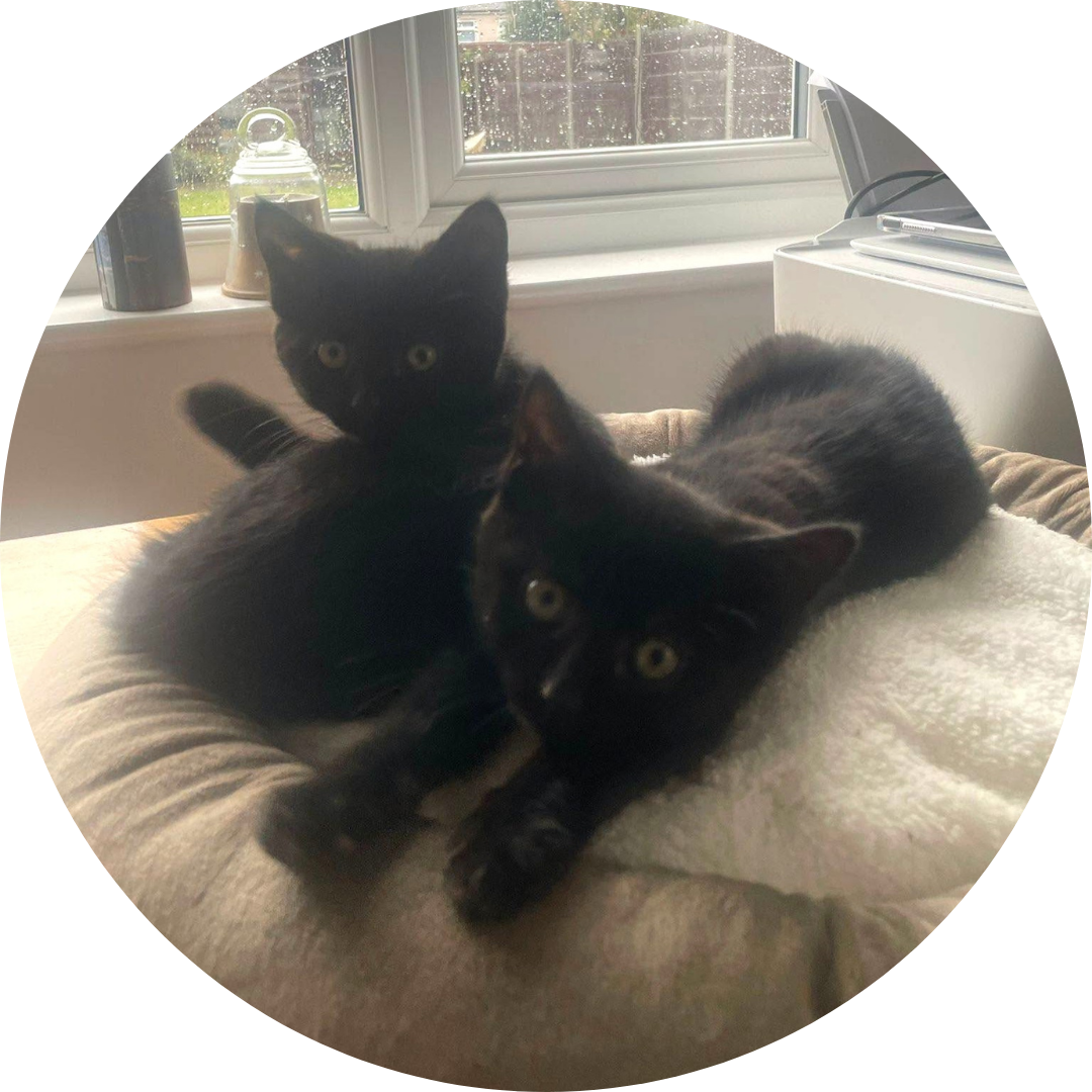 Nova & Yuki