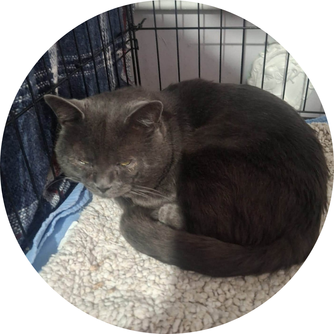 Milo