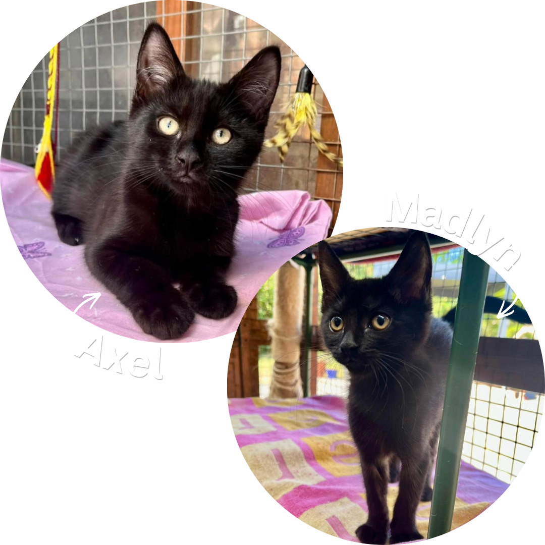 Axel & Madlyn