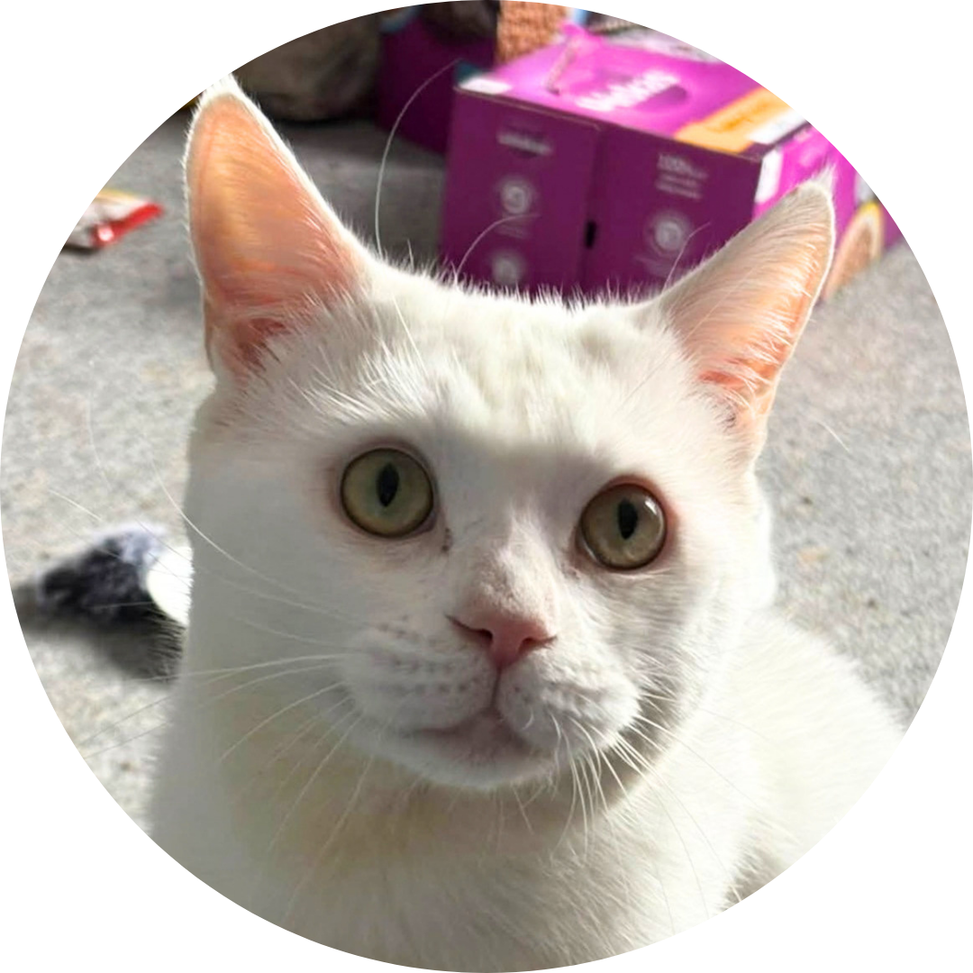Barry (White)