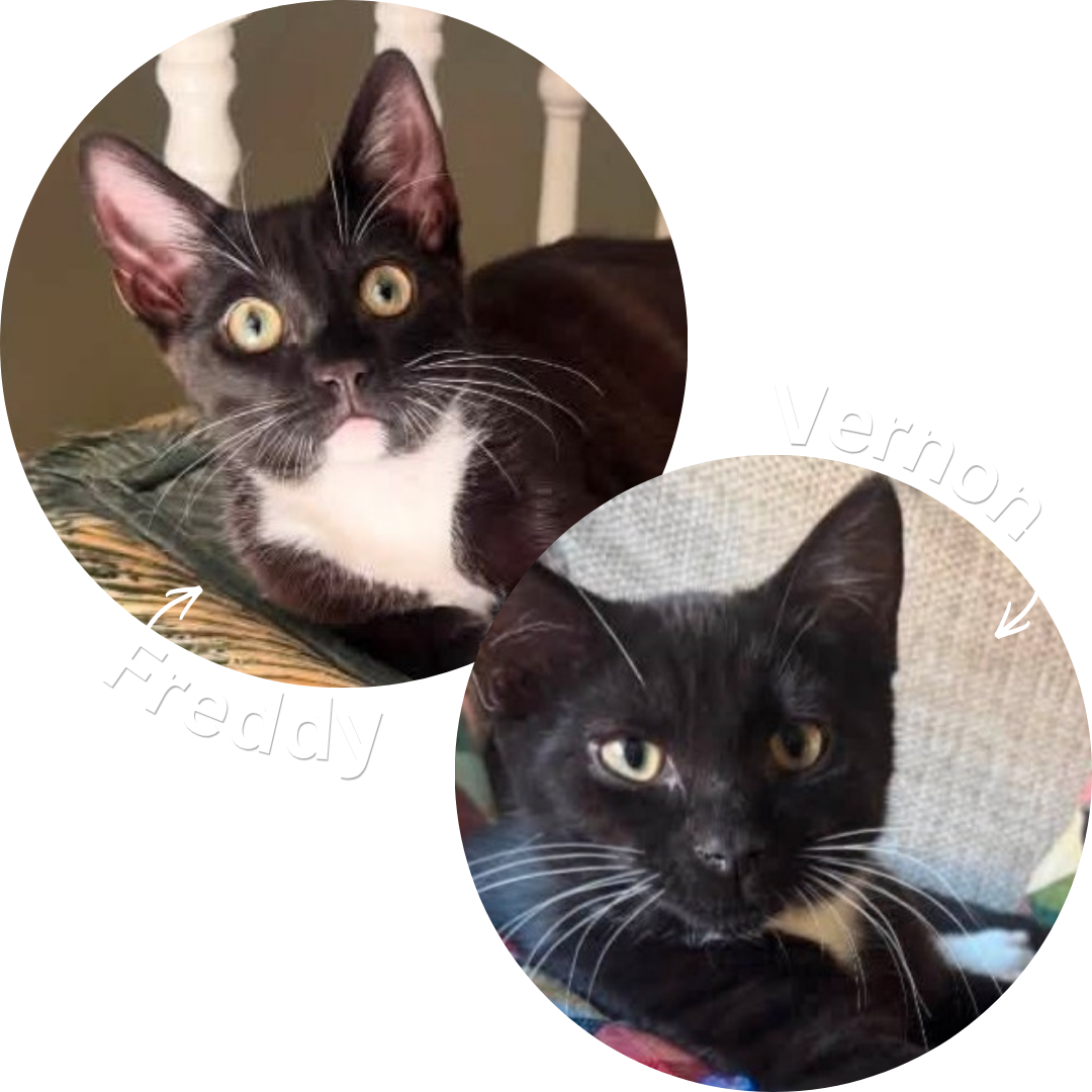 Freddy & Vernon