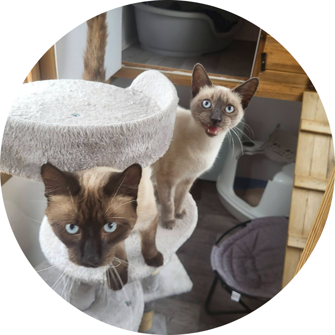 Rosie & Albert