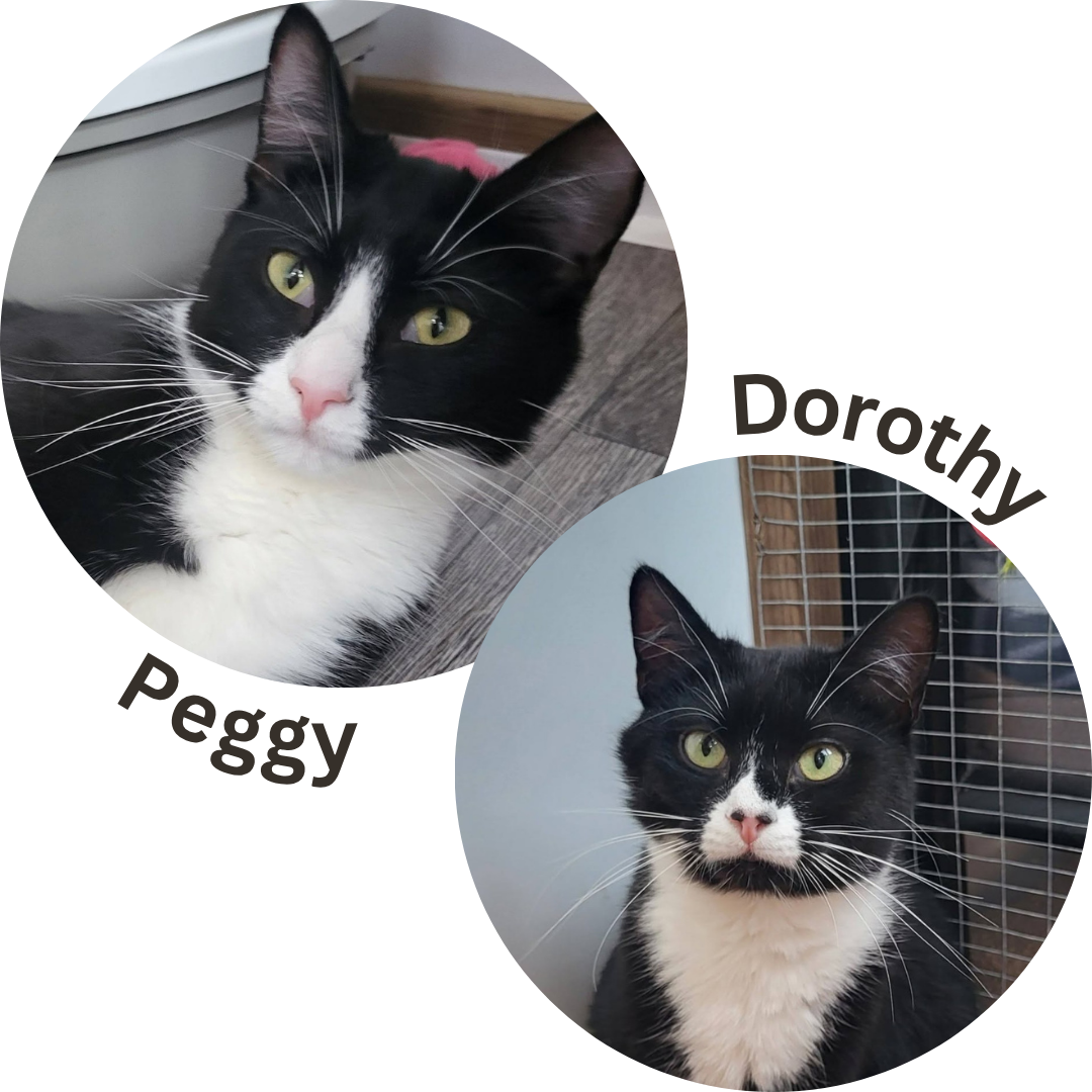 Peggy & Dorothy