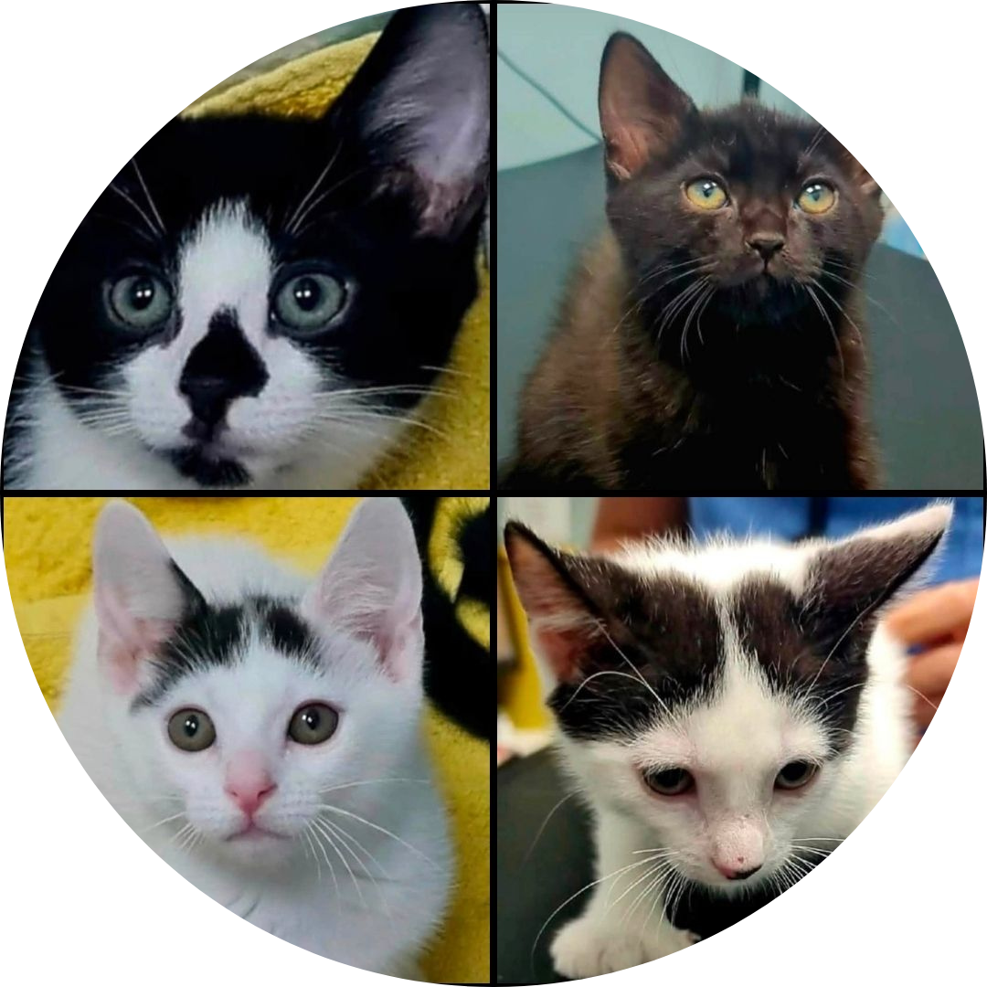 Polly, Norman, Hadley & Keeble
