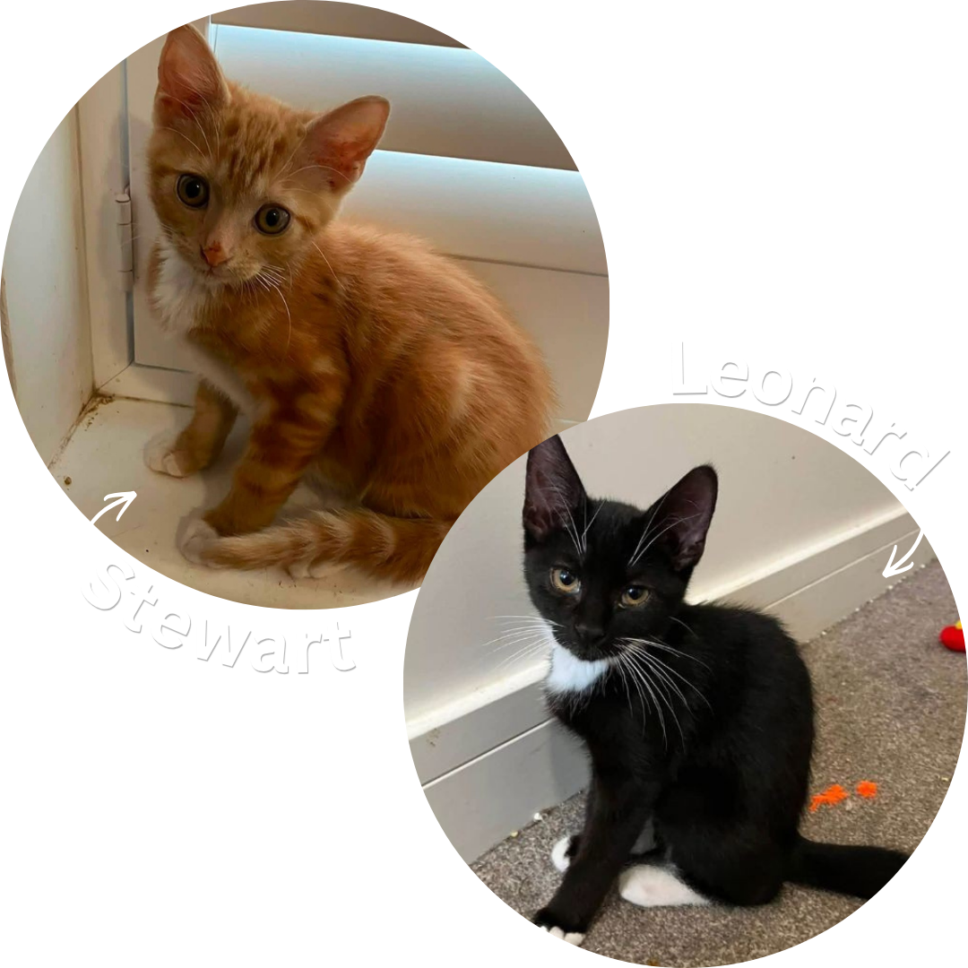 Stuart & Leonard
