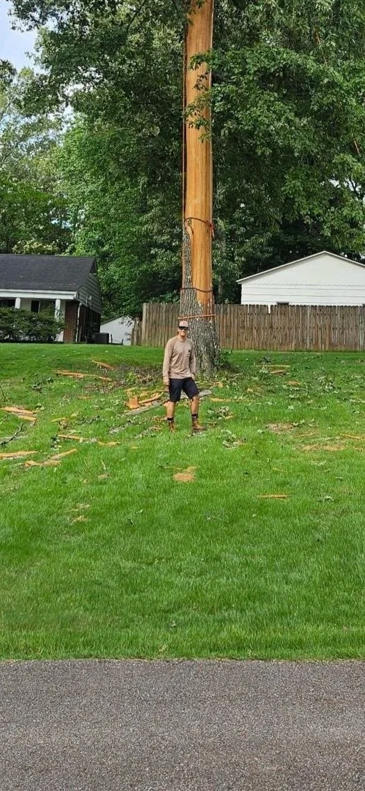 A man standing under a large tree with a cut cable around the trunk, surrounded by fallen wood and debris, in a grassy yard with houses in the background.