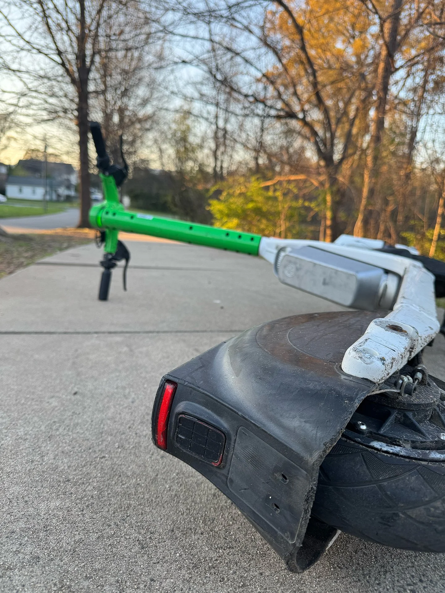 Scooter Collapse Disrupts Morning Ant Commute