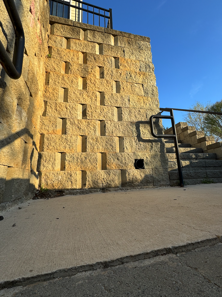 Plaza Midwood ant priced out of cinder block ownership