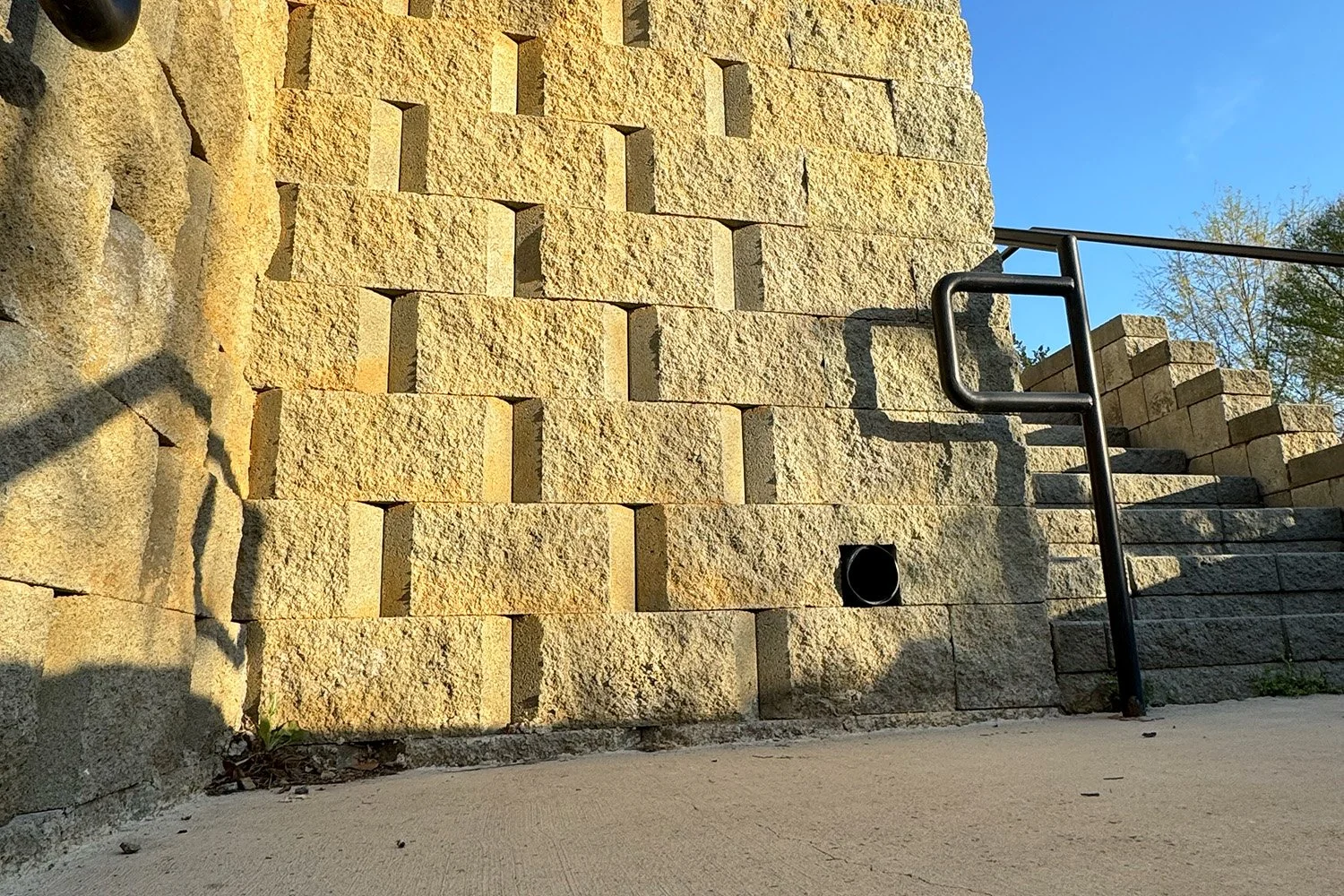 Plaza Midwood Ants Priced Out of Cinder Block Ownership