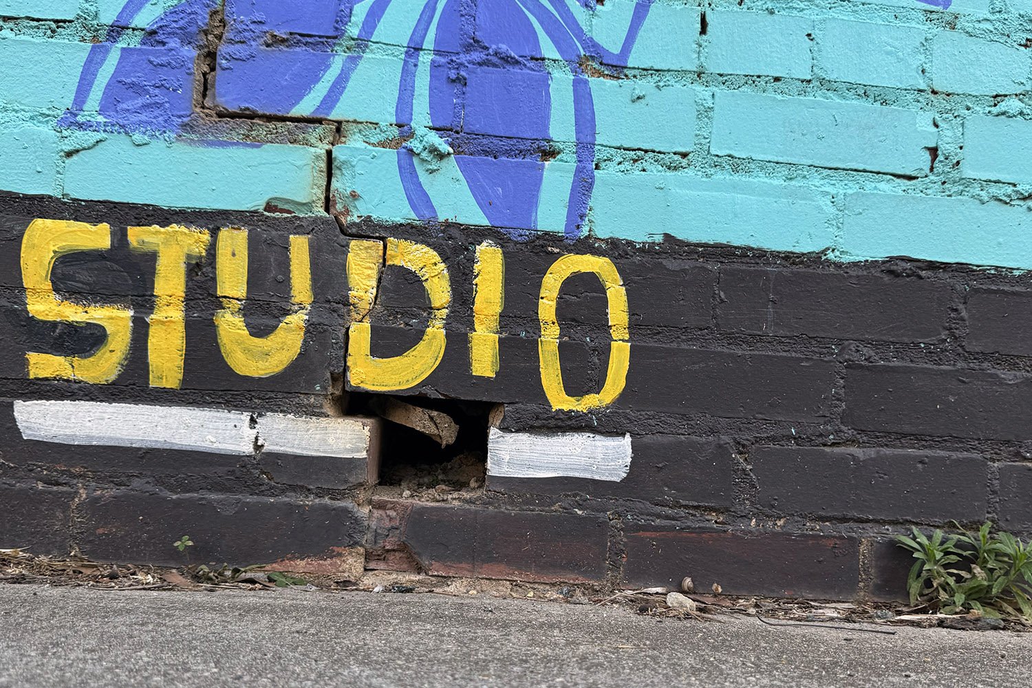 Cockroach Lists Hole in Wall as “Studio,” Sets Rent at Three Crumbs