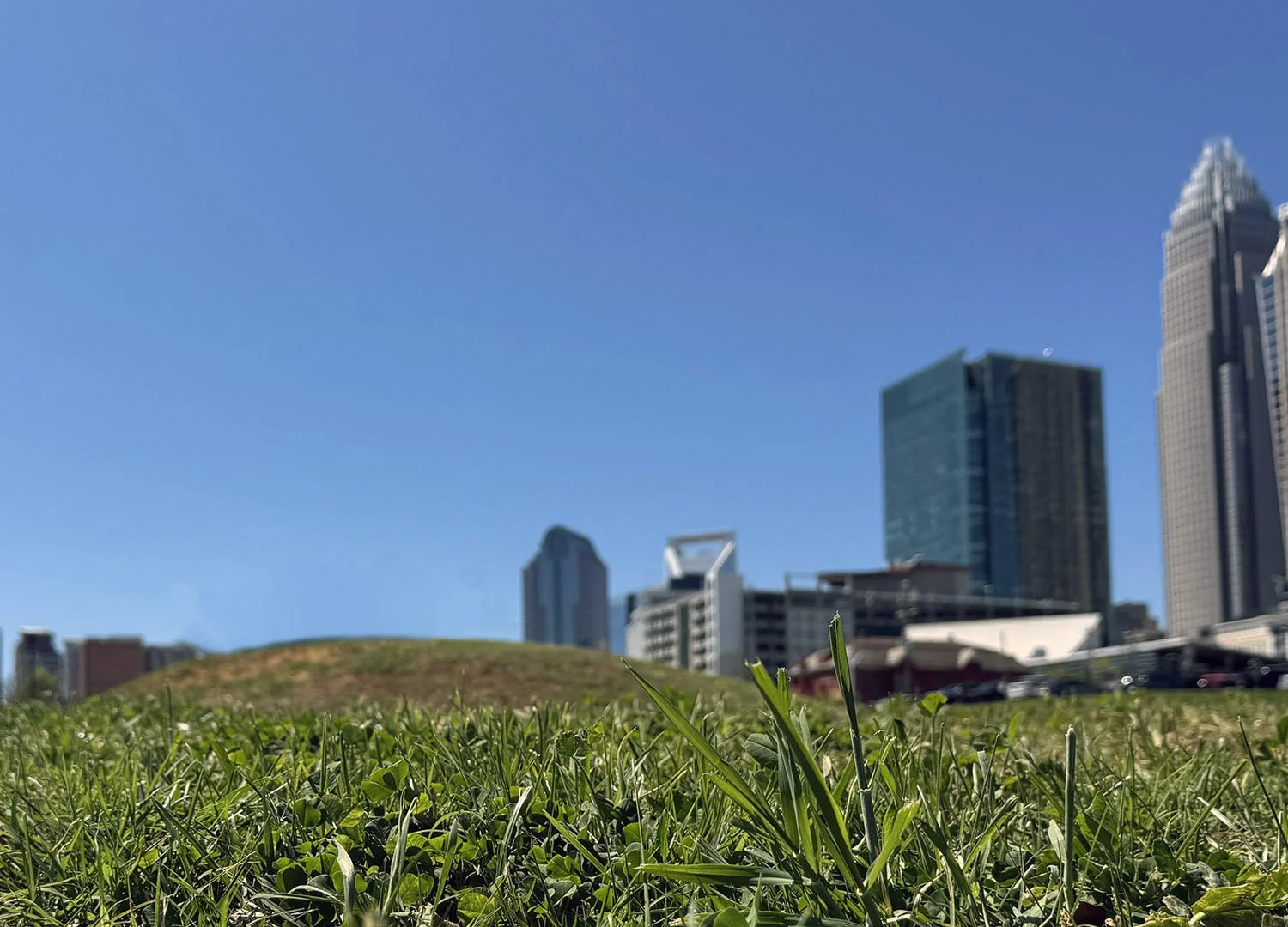 Remote Worker Bees Return to Hive 5 Days a Week