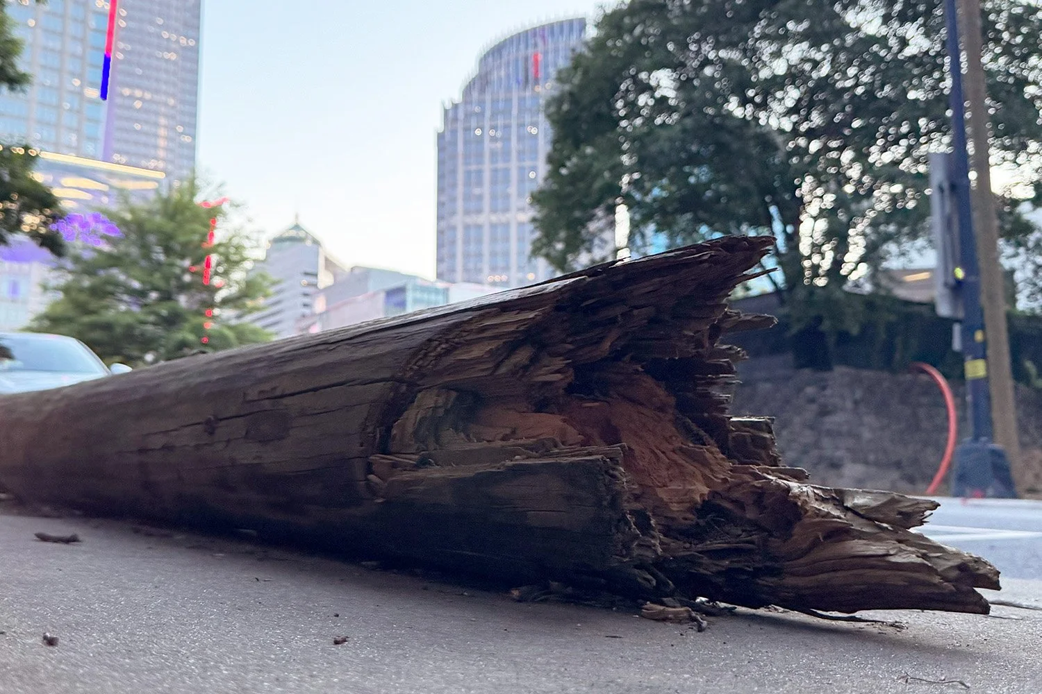 Termite Crews Begin Uptown Pole Removal Initiative