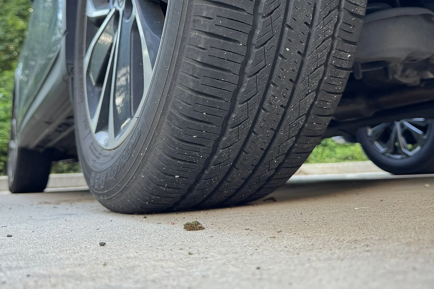 Thousands Lost in Sudden Windshield Event