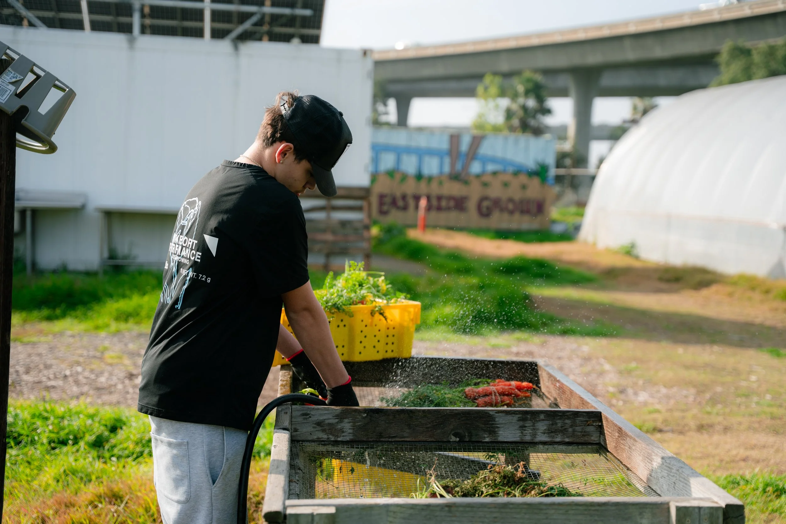 Volunteer : Field Work