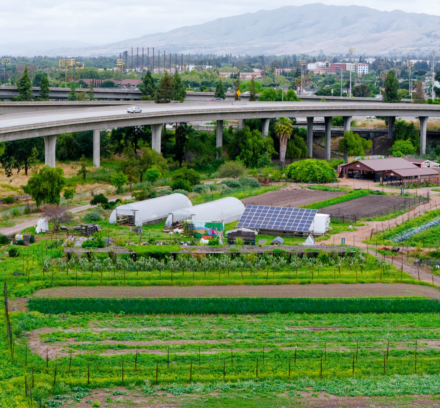 A scenic view of a multi-layered highway overpass surrounded by green trees, cultivated farmland, and a distant city with mountains in the background under a cloudy sky.