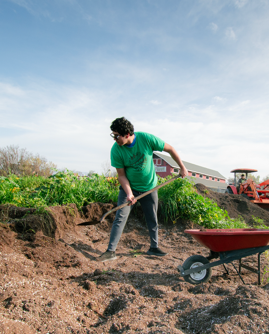Person working on a farm planting or tilling soil with a hand tool, with a wheelbarrow nearby and a barn and tractor in the background under a clear sky.