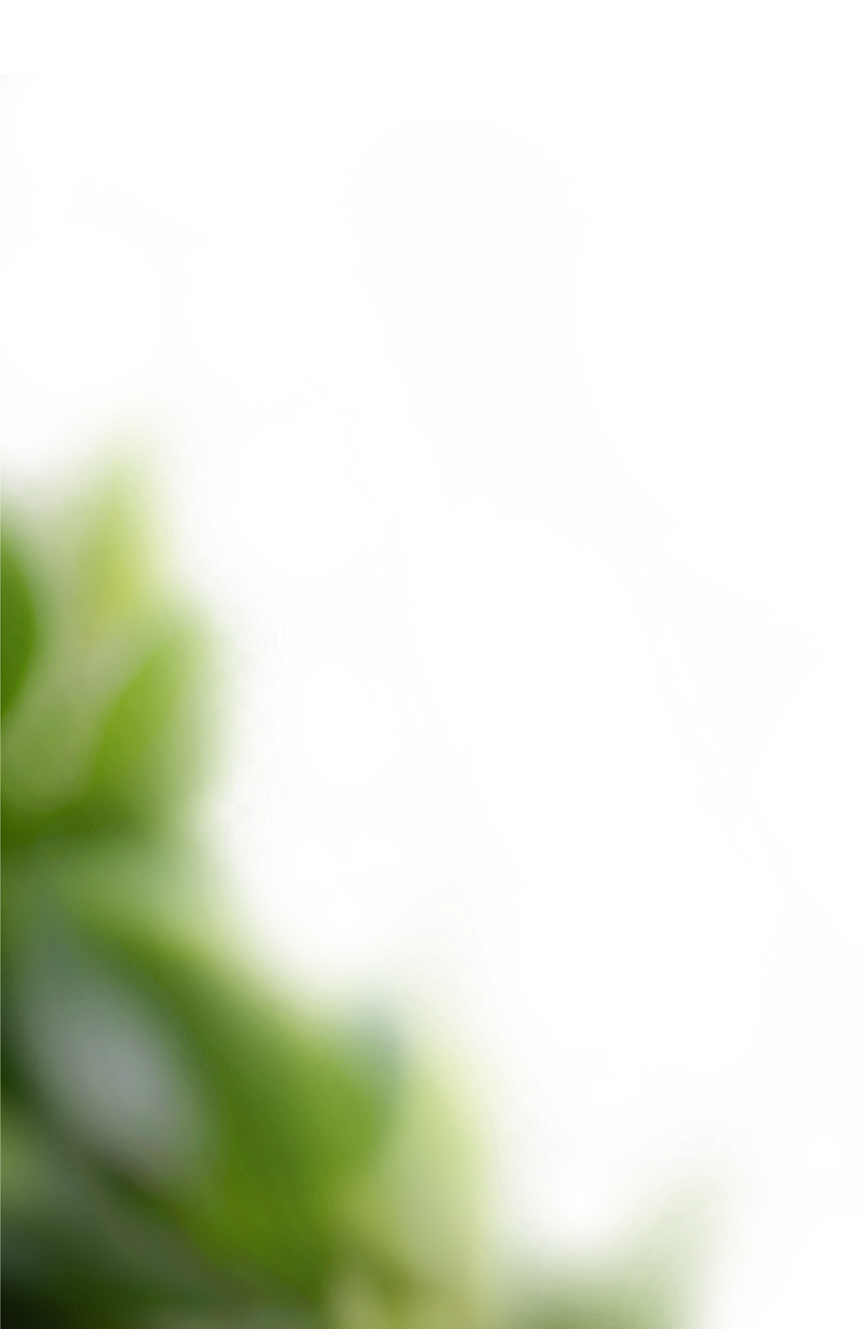A distorted and pixelated image with predominantly green and black colors, exhibiting abstract shapes and patterns, making it difficult to identify specific objects or scenes.
