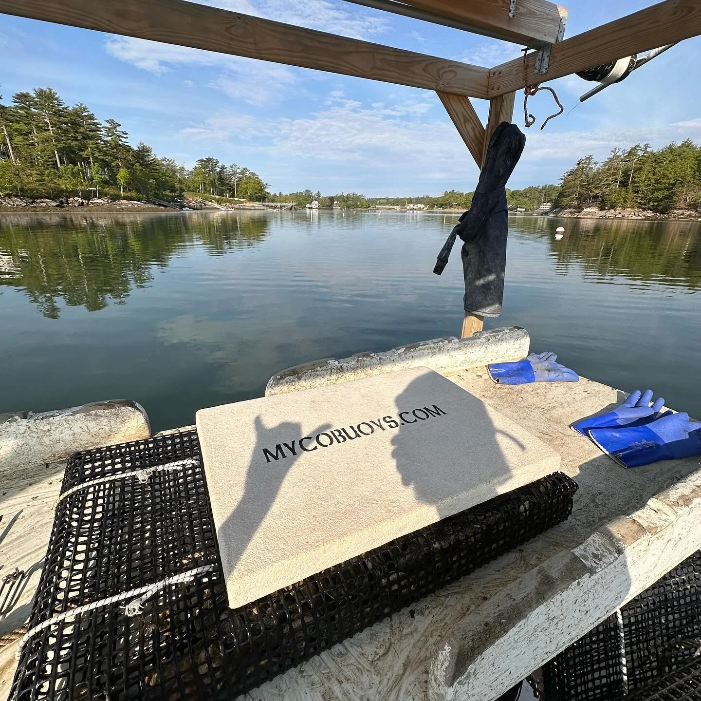 Oystah summer is fully underway, including lots of sunny days and cool research projects!

[Pictures 1-2] The past few months, we&rsquo;ve been trailing @mycobuoys on the farm, made completely out of mushrooms and plant material! These are a biocompa