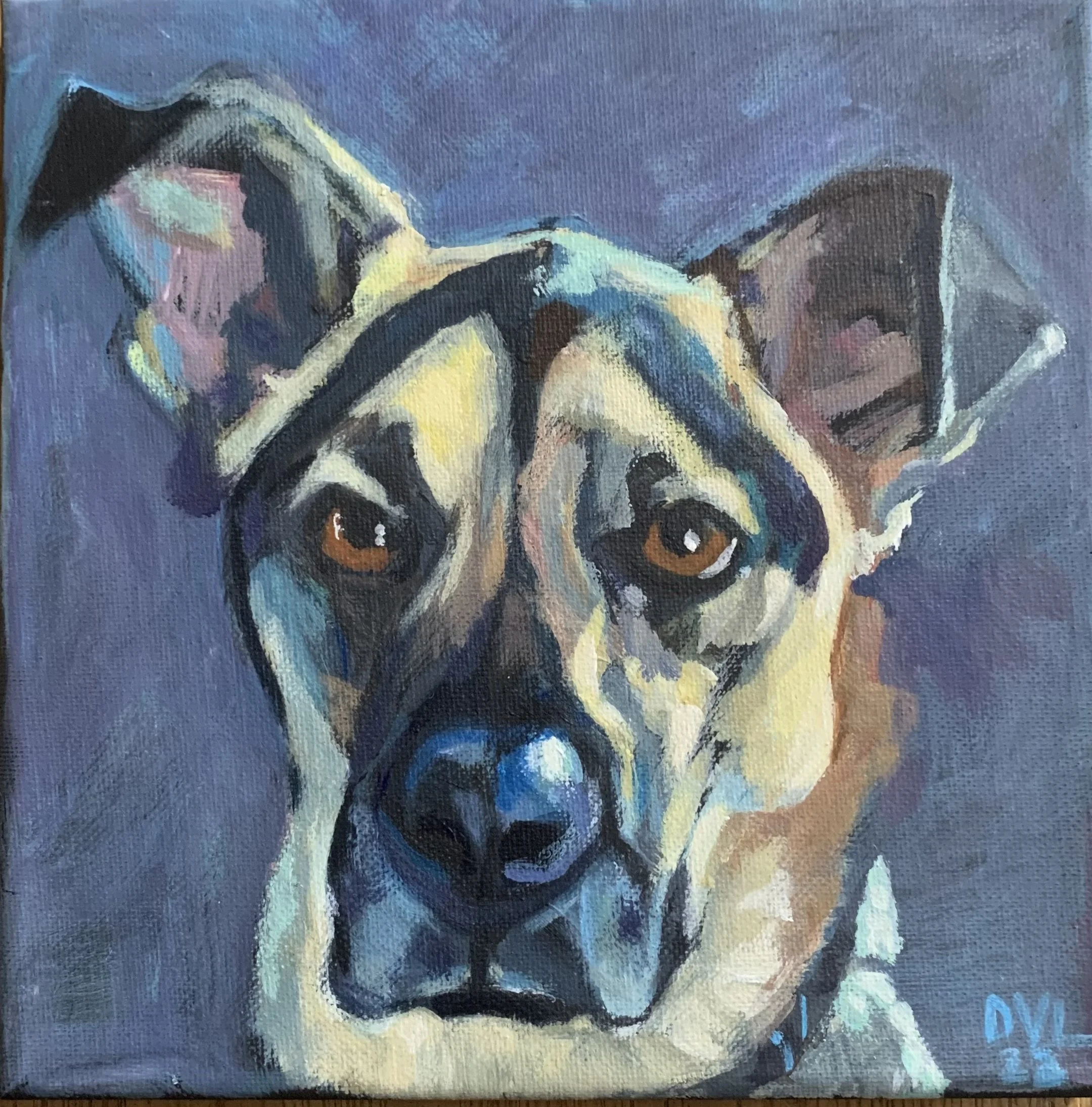 IMG_4415 German Shepherd.jpeg