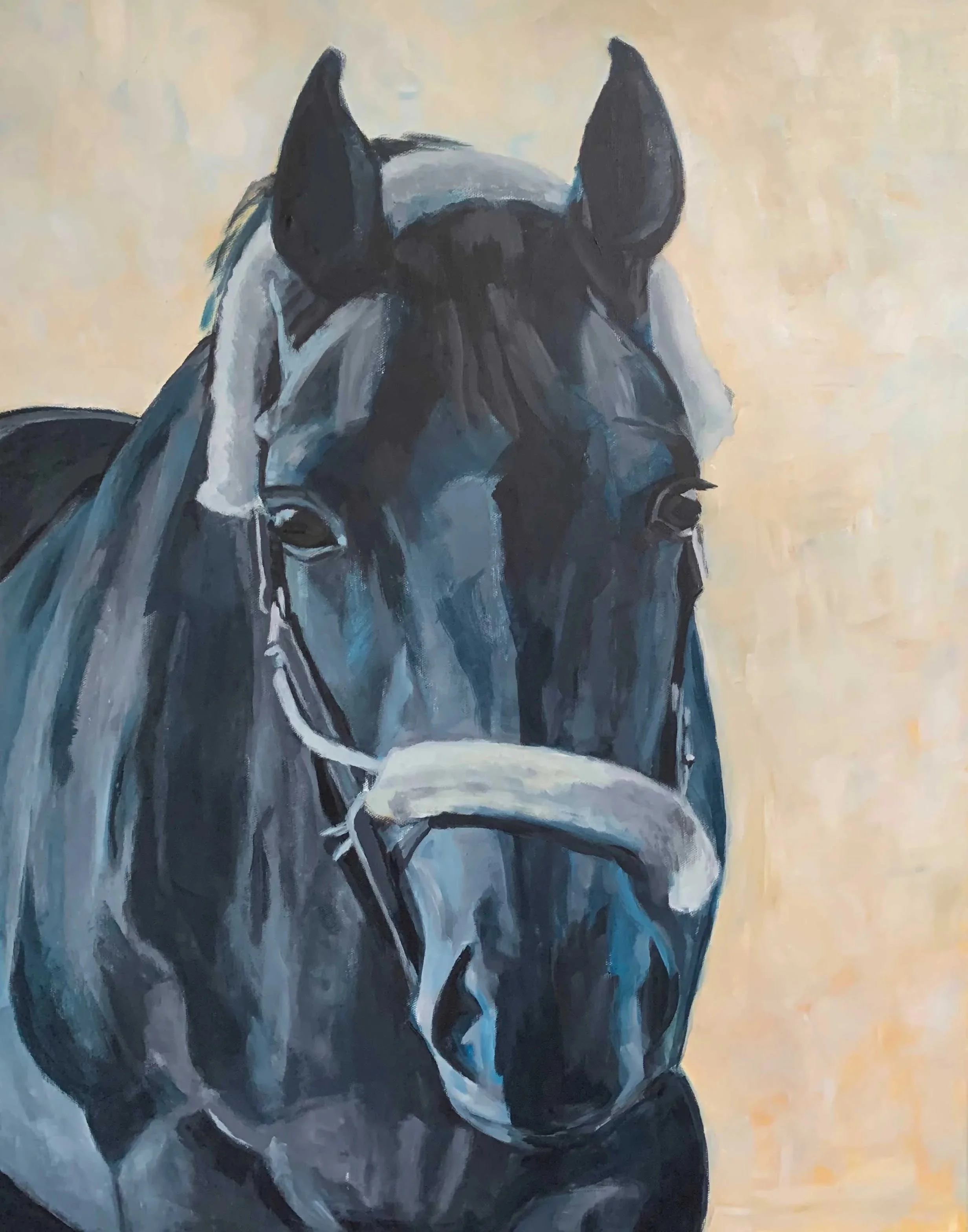 Charcoal-colored-horse.jpg