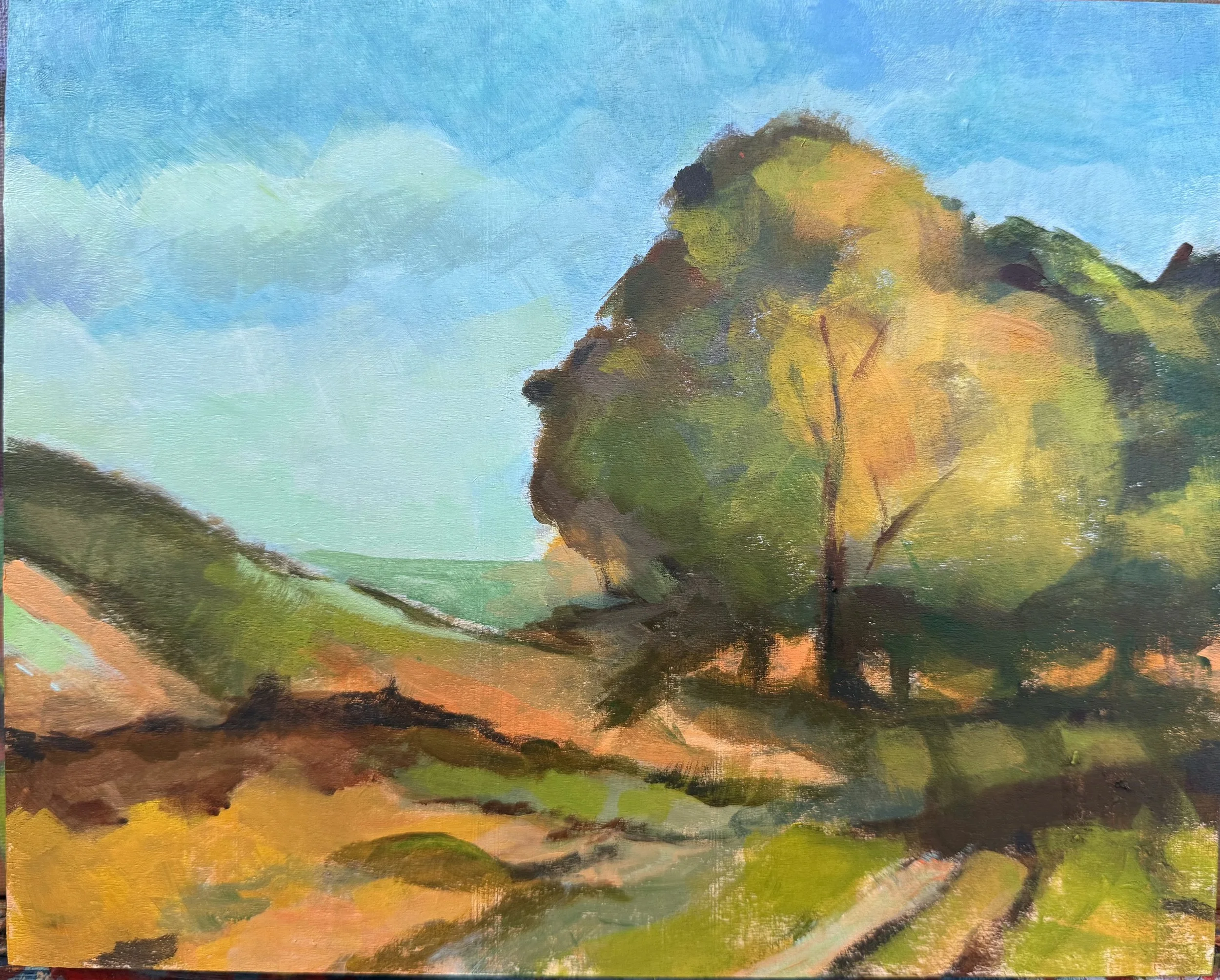 Landscapes