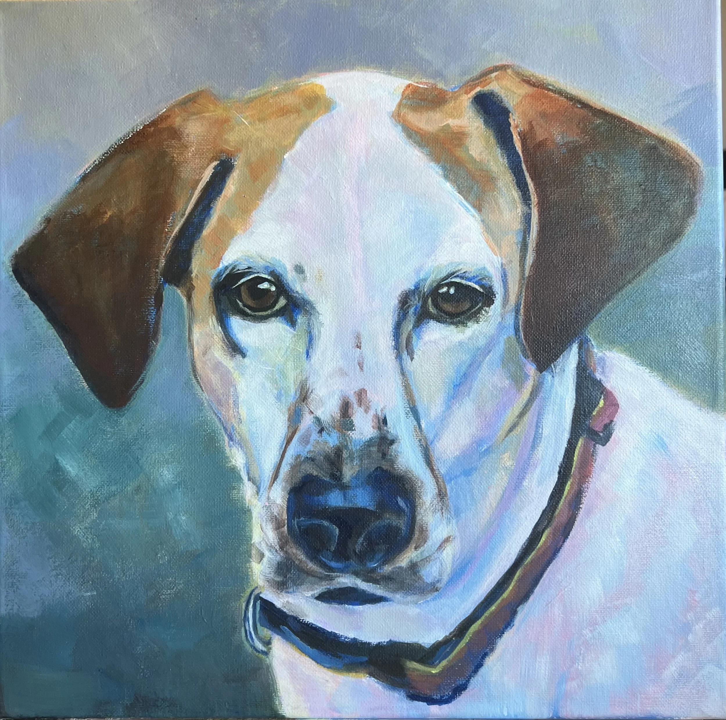 IMG_1041 white and tan dog.jpeg