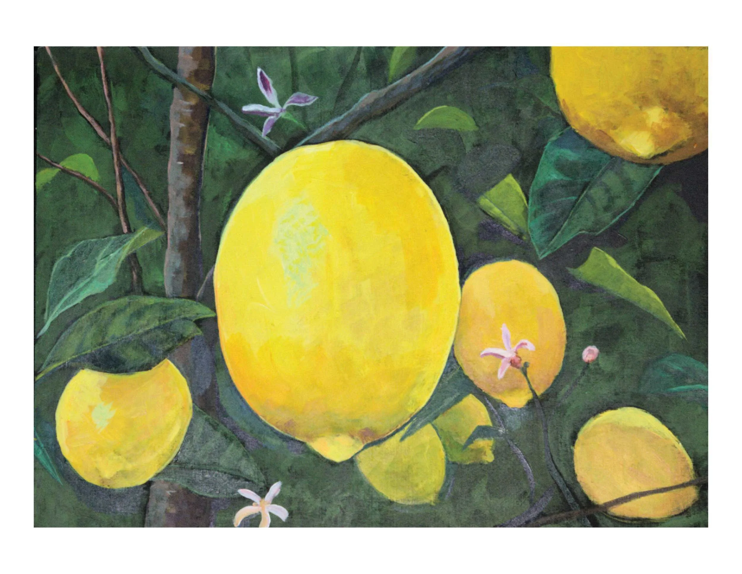 Lemons 2 S Notecard