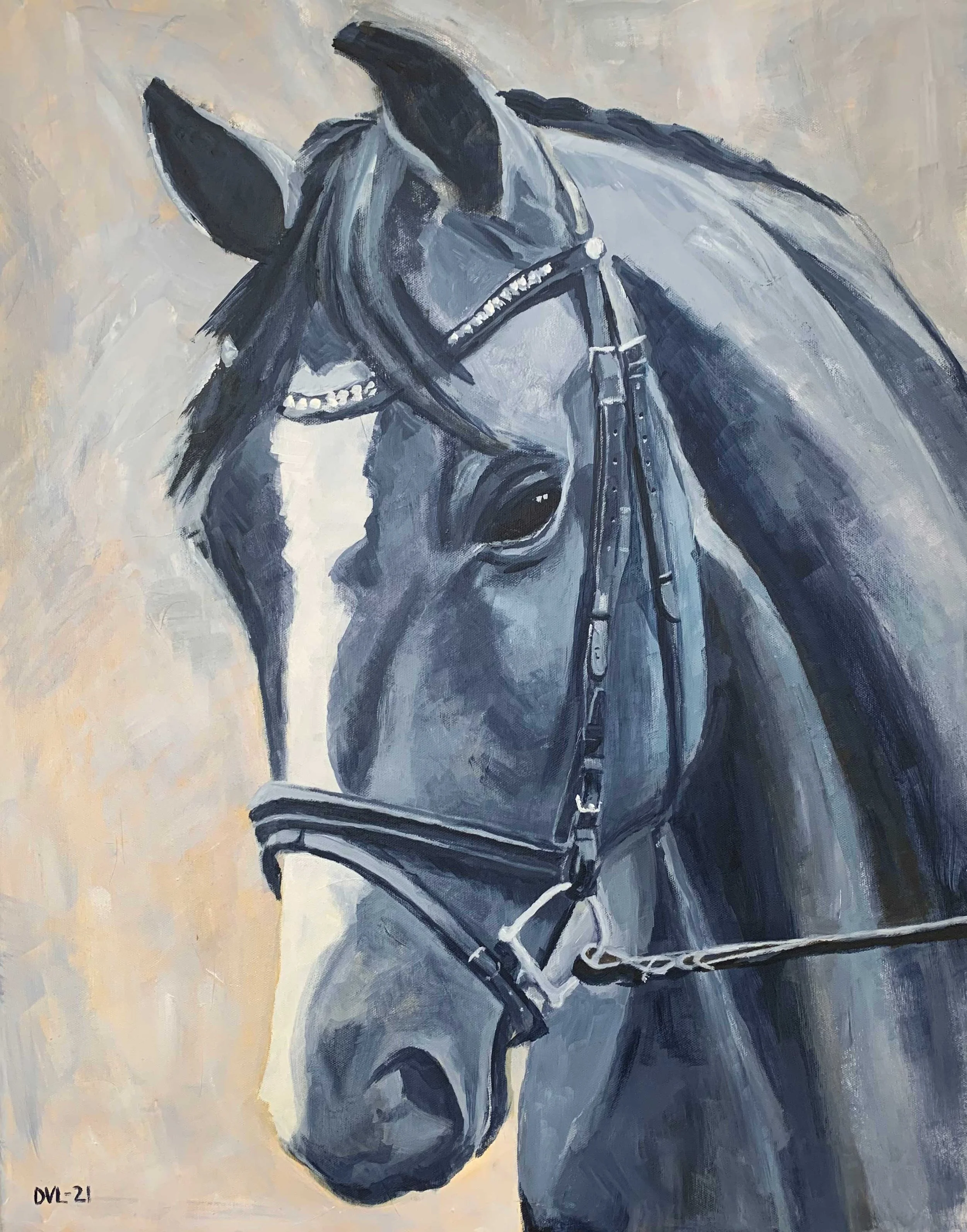 IMG_4070-charcoal-colored-horse-2.jpg