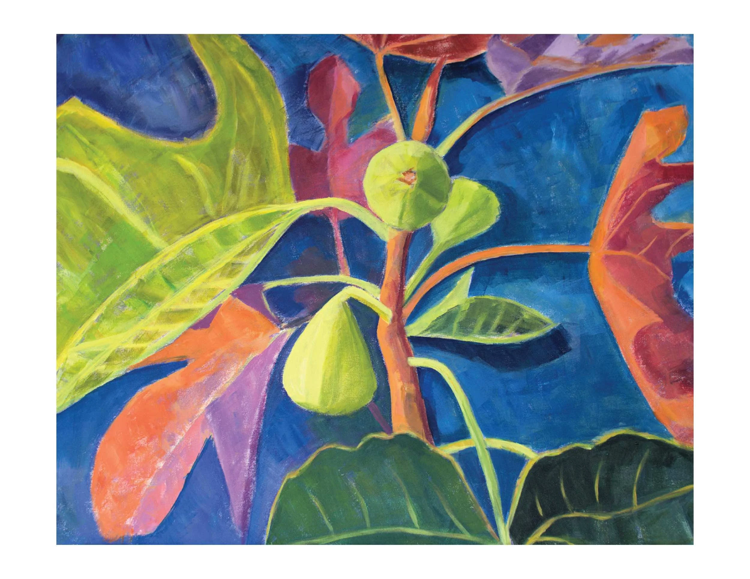 Fruit Notecard
