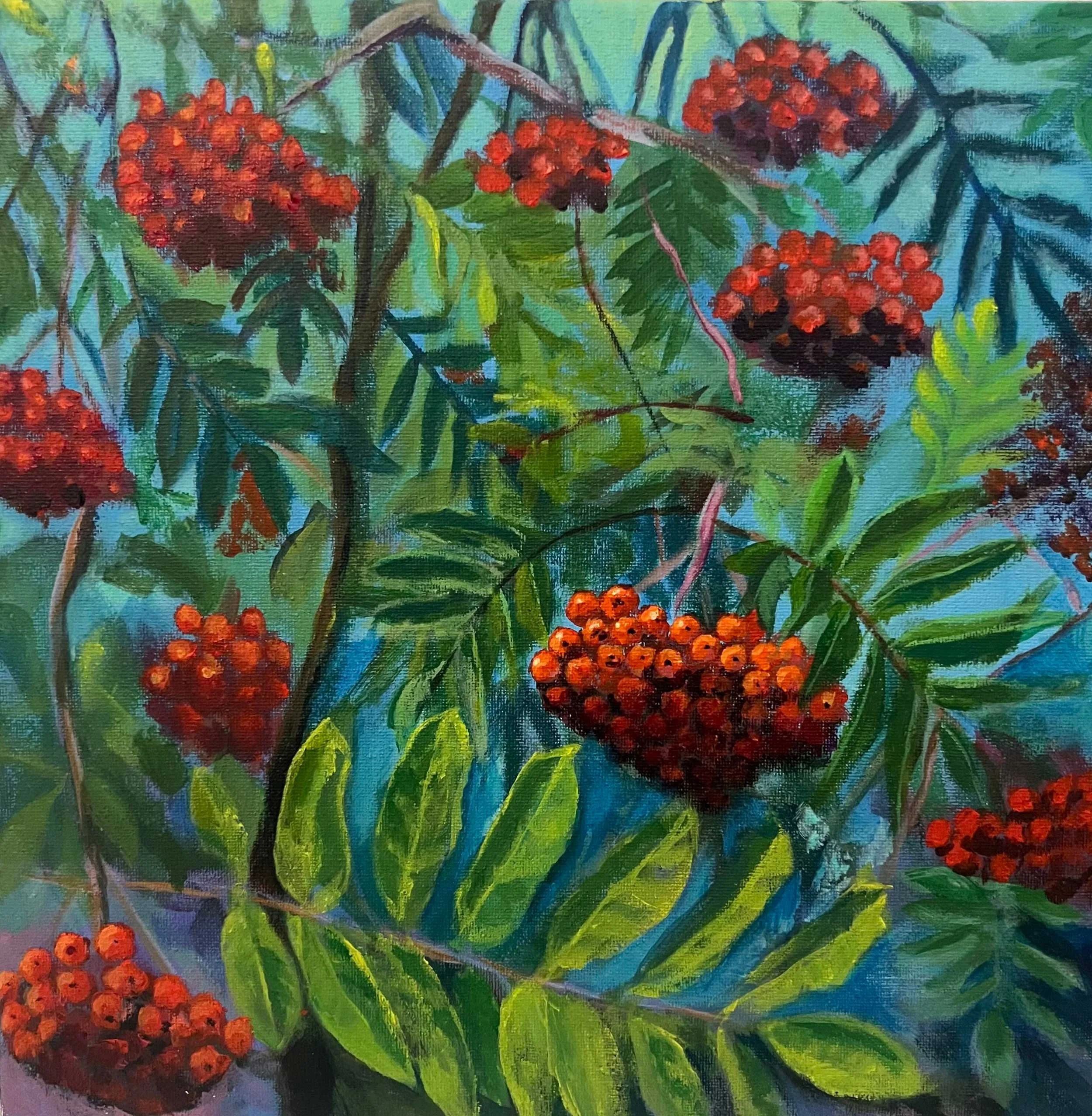 IMG_7346-Rowanberries.jpg