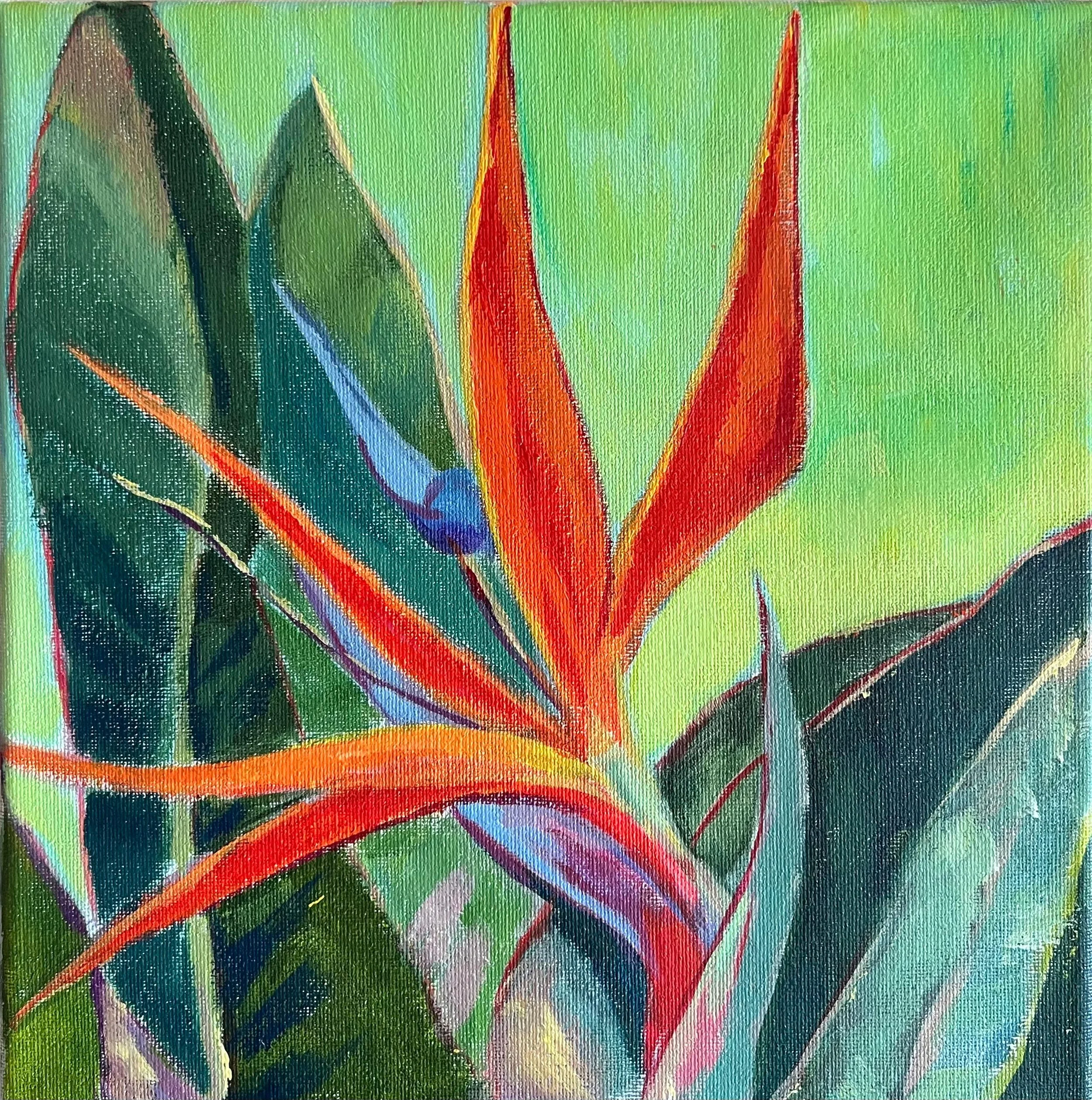 IMG_1684 Bird of Paradise Plant 3.jpg