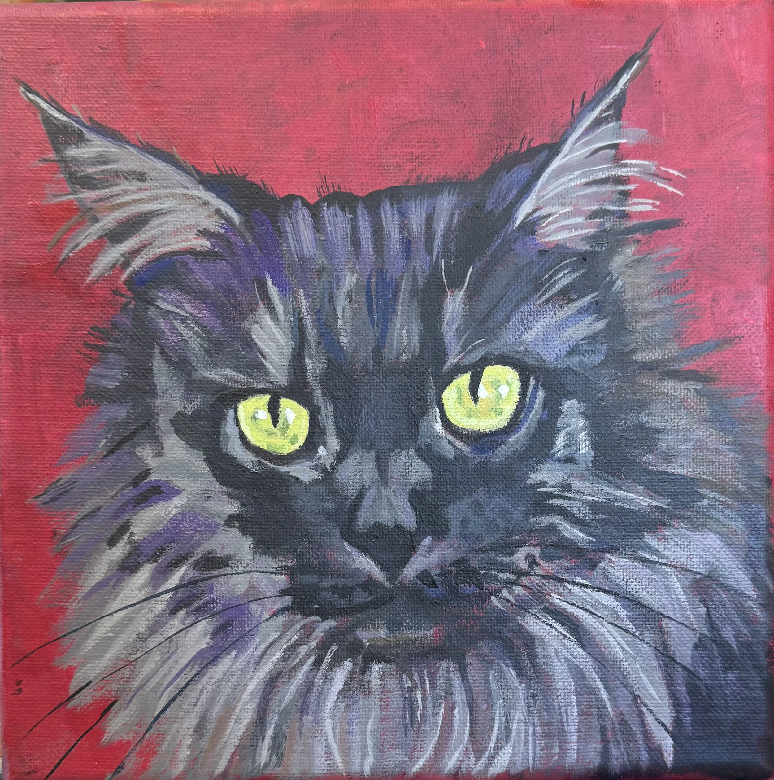 cat-portrait.jpeg