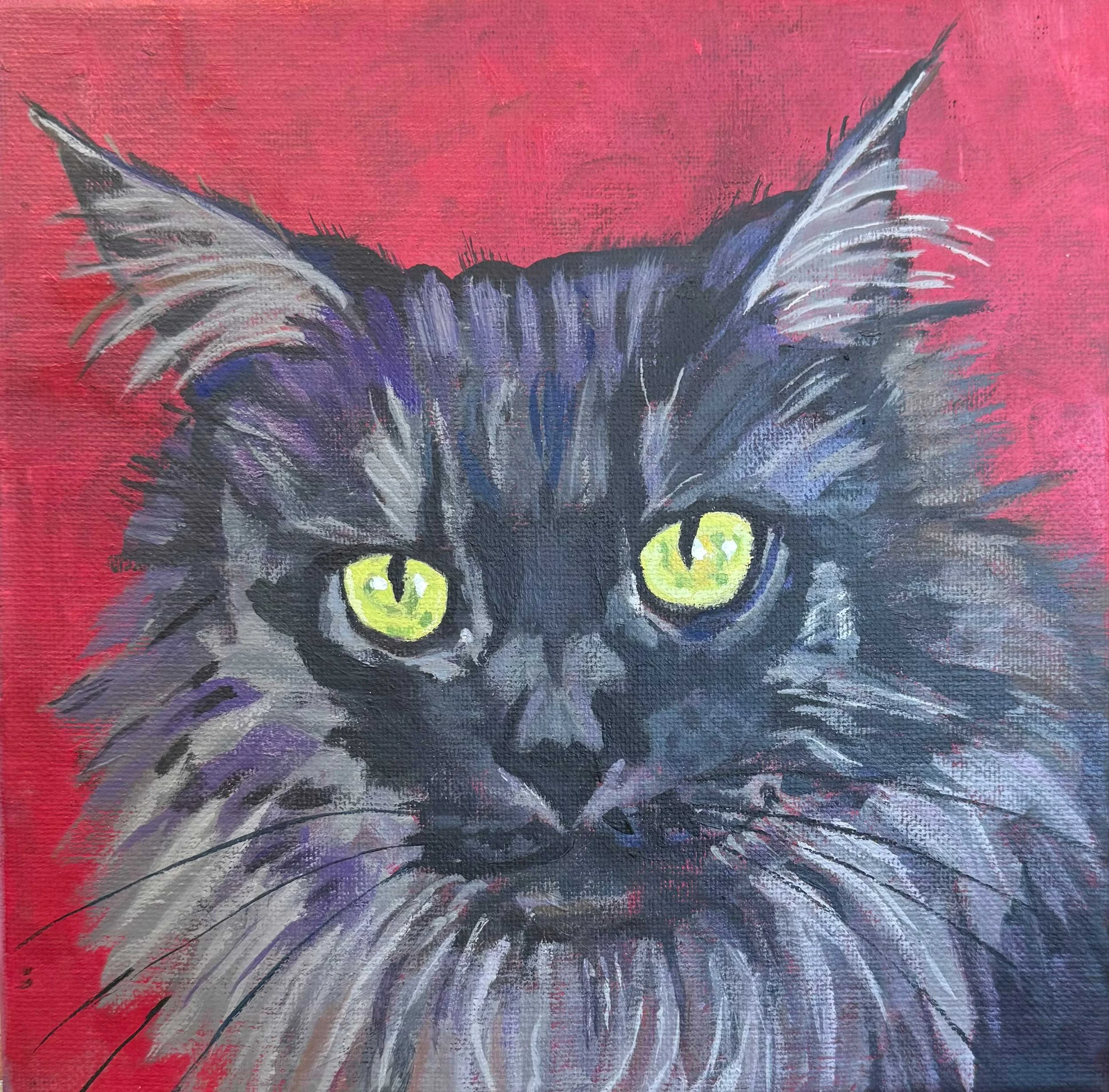 cat-portrait.jpg