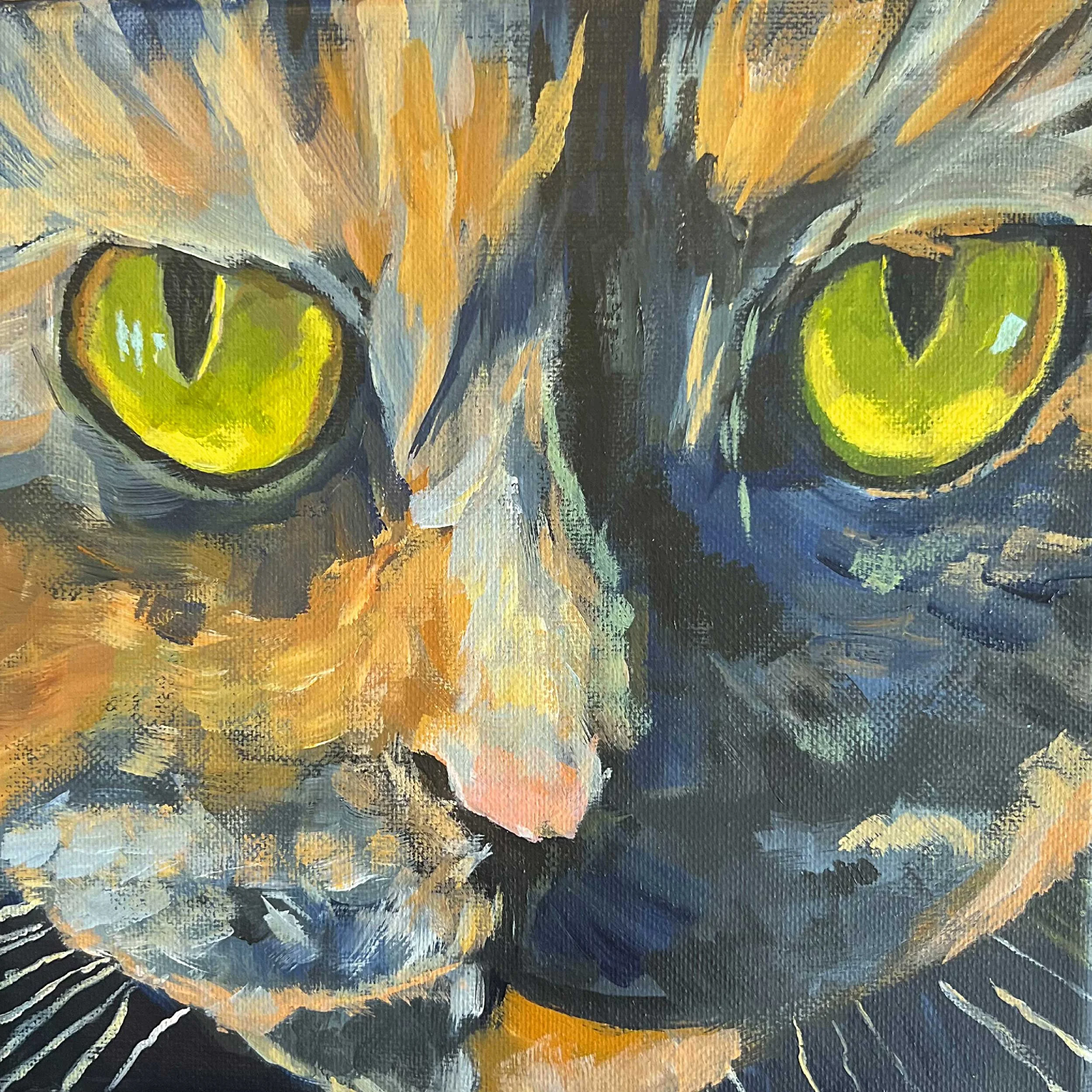orange-tabby.jpg