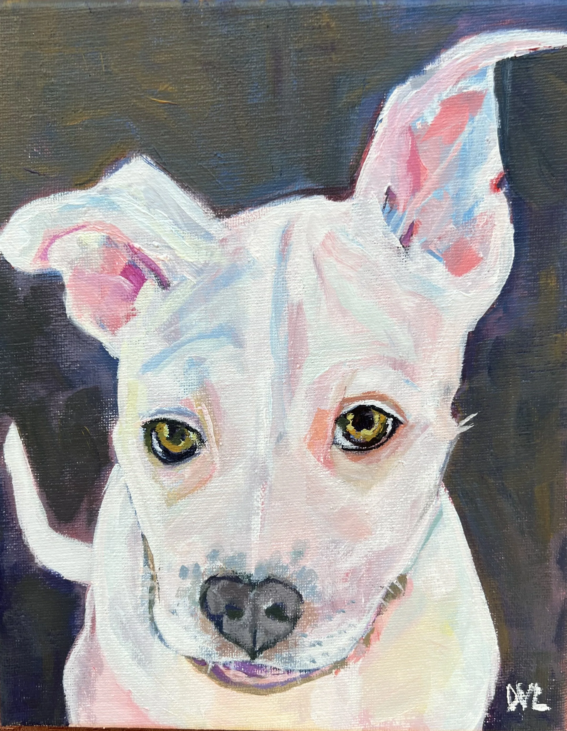 IMG_3699 white puppy.jpeg