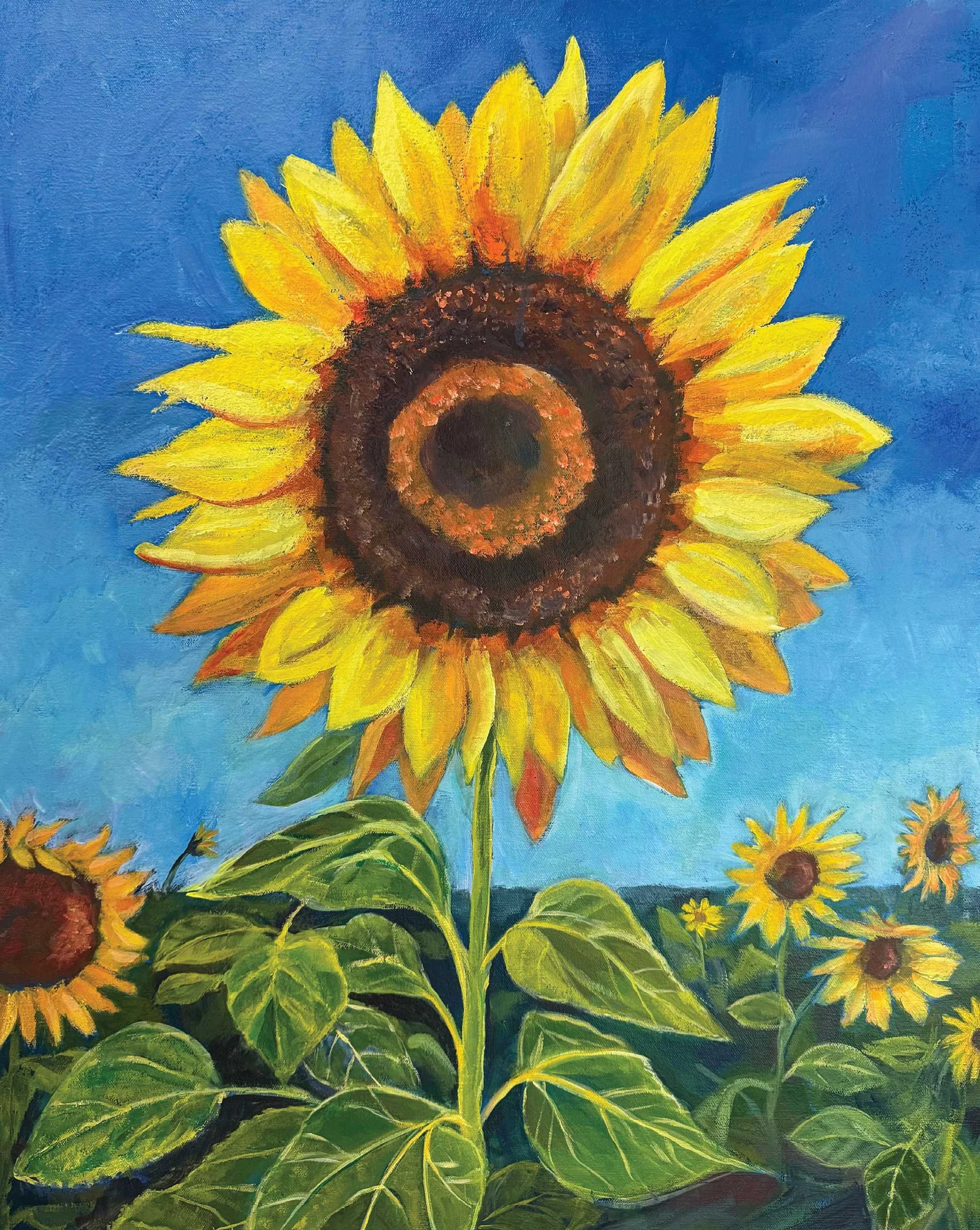 sunflower.jpg