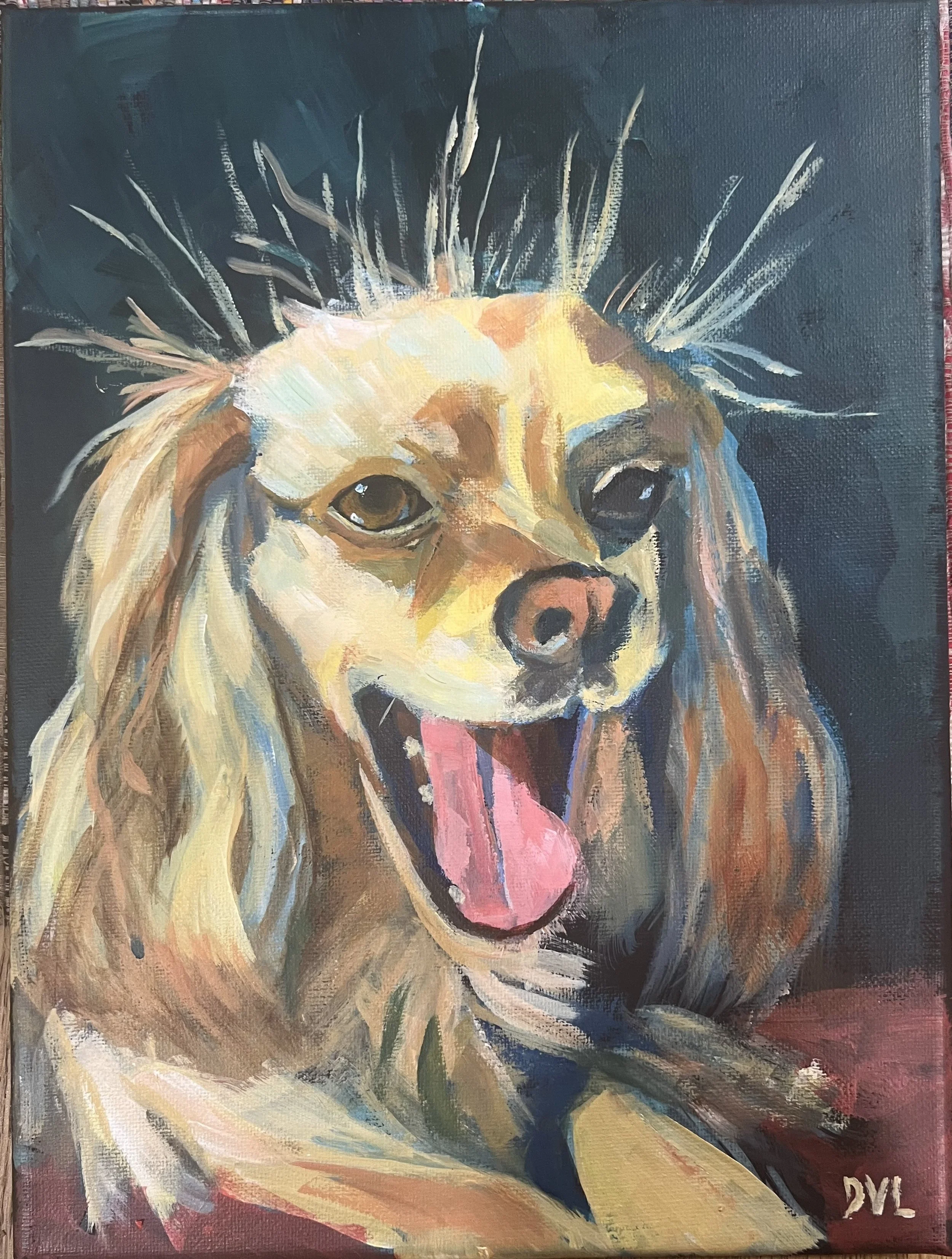 IMG_2127 spaniel.jpeg