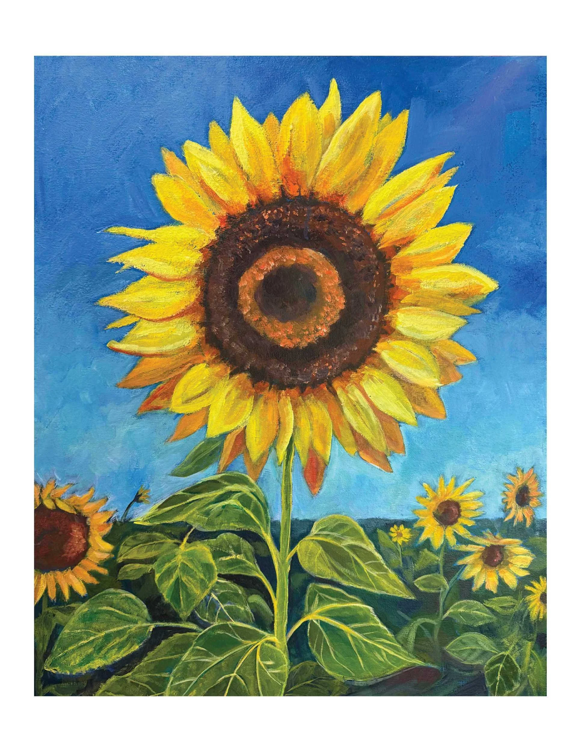 Sunflower 1 Notecard