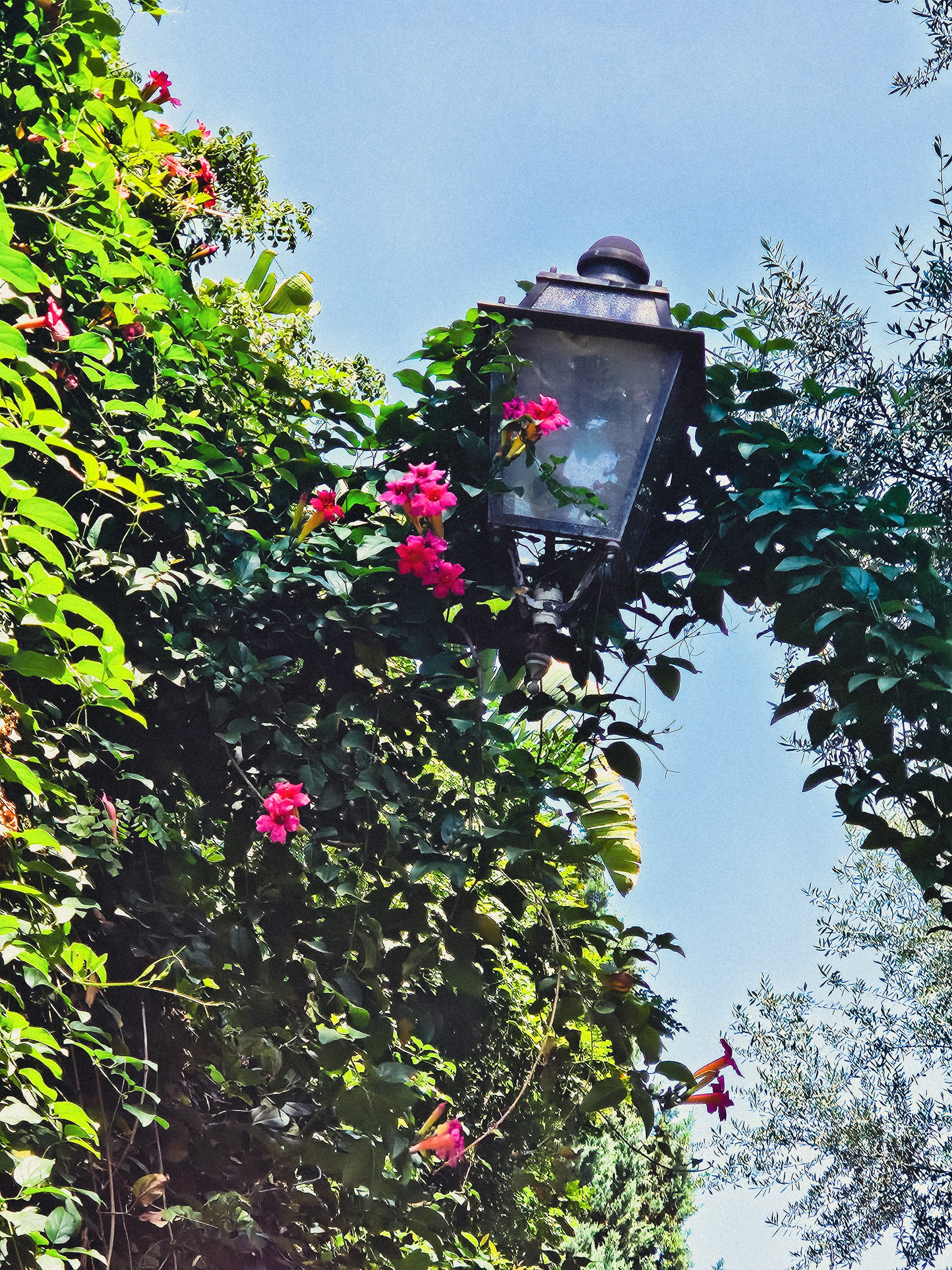 20250611_144800-2.jpg