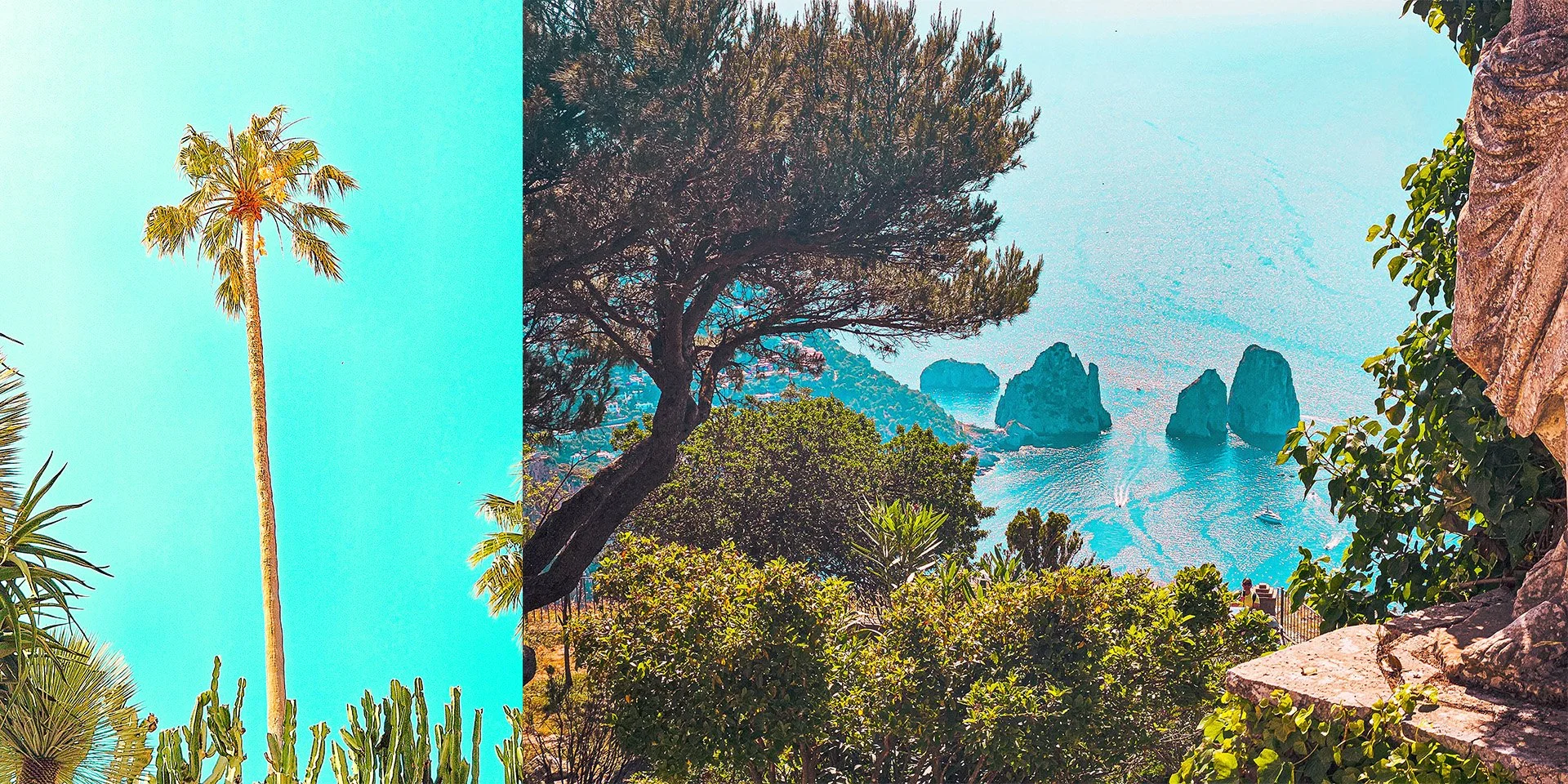 Untitled-1 4.jpg