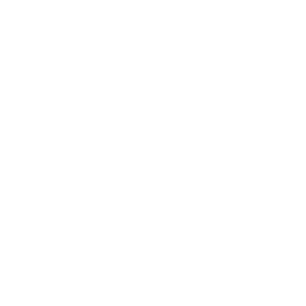 Ellison Nuse Luxury Executive Assisting Services