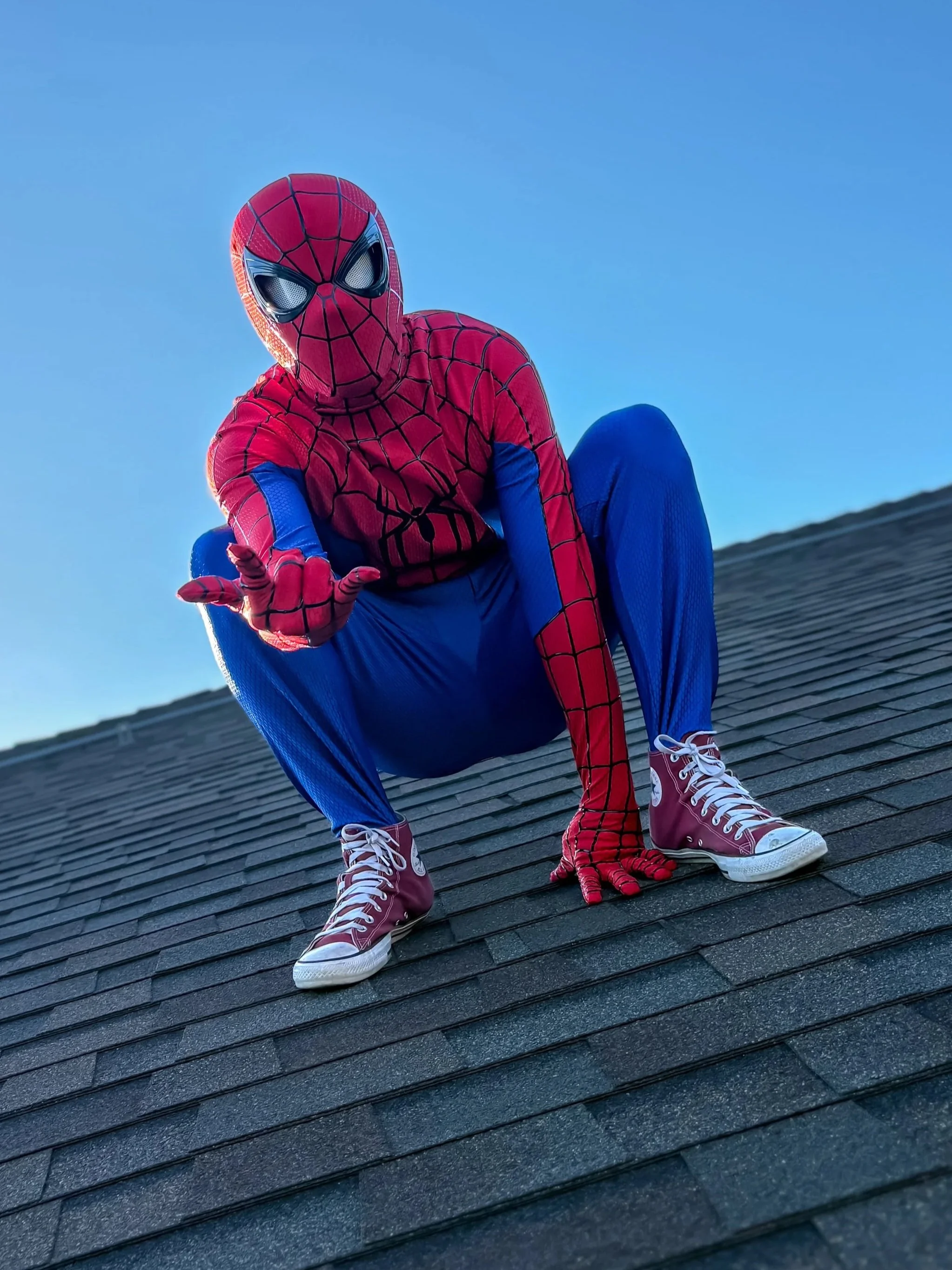 Héroe Araña