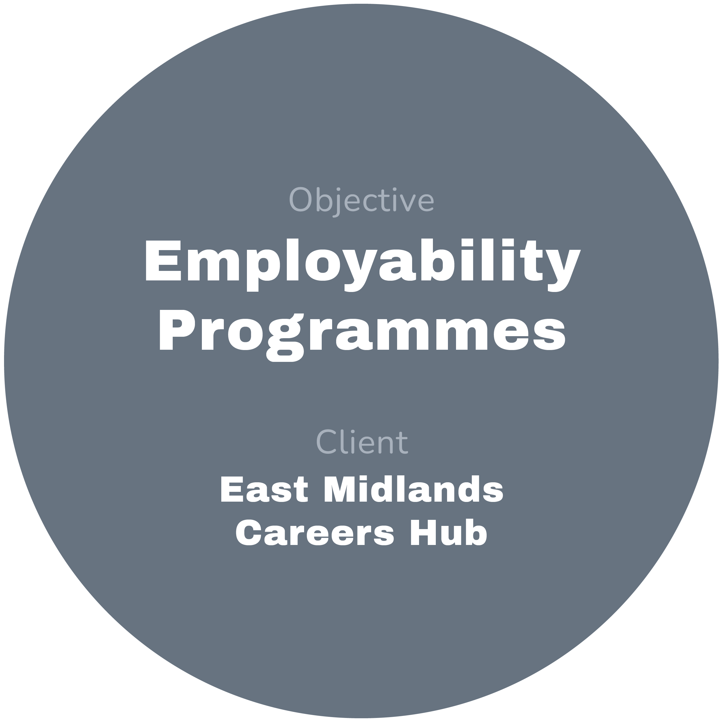 Button to click through to read about the employability programmes project created for East Midlands Careers Hub..